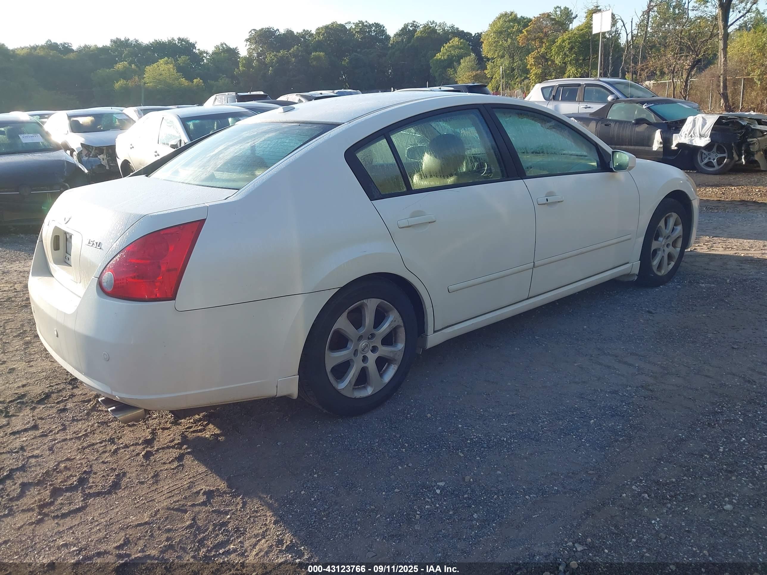 NISSAN MAXIMA image 4