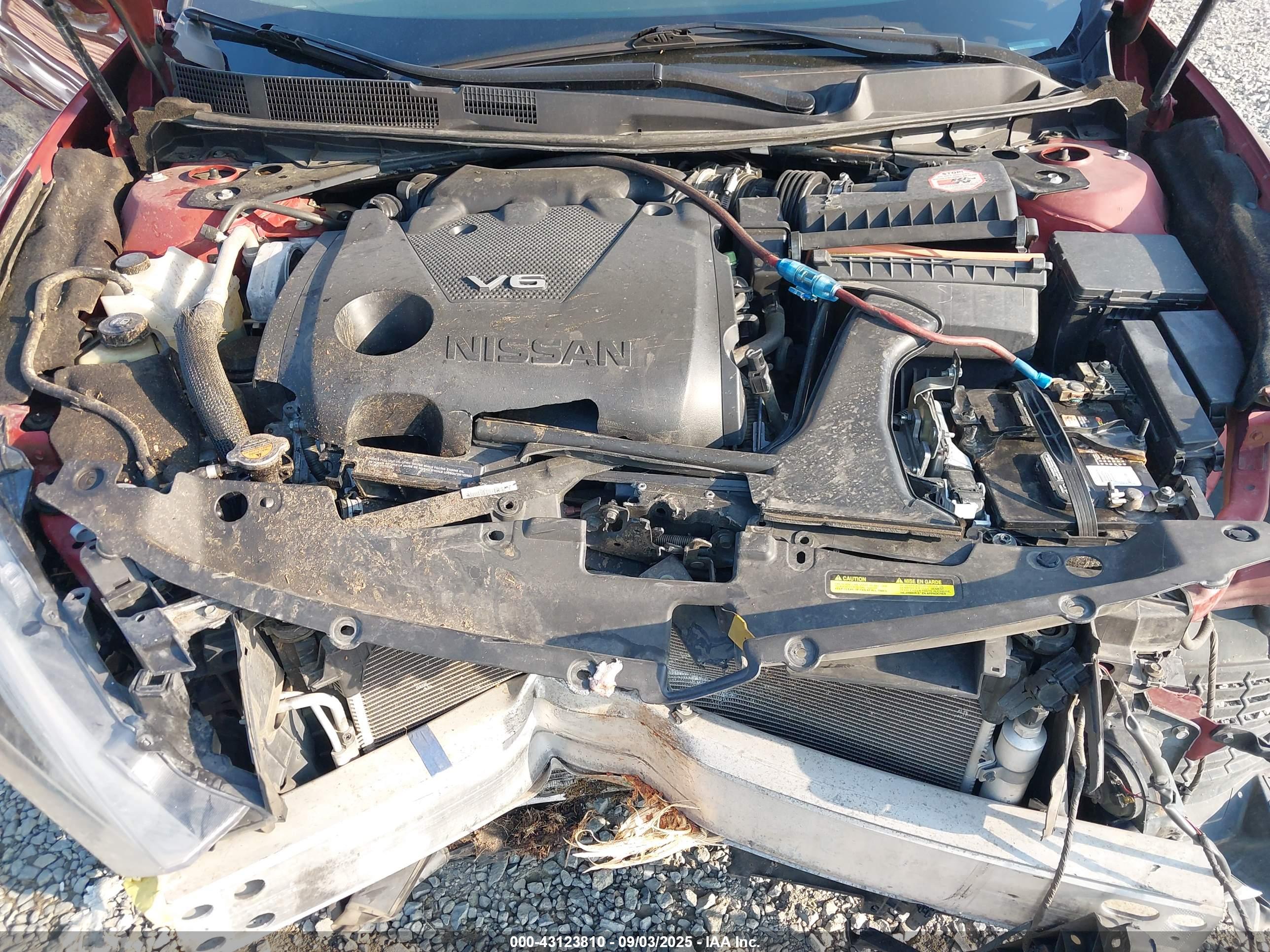 NISSAN MAXIMA image 10