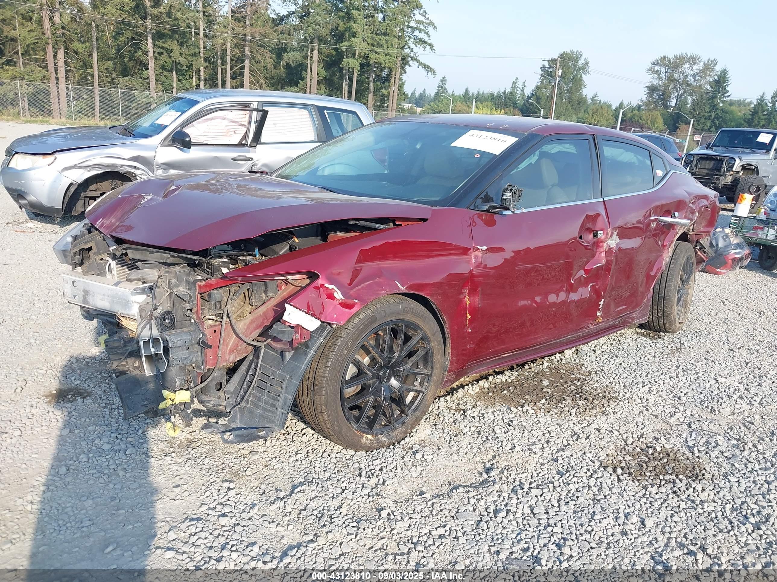 NISSAN MAXIMA image 2