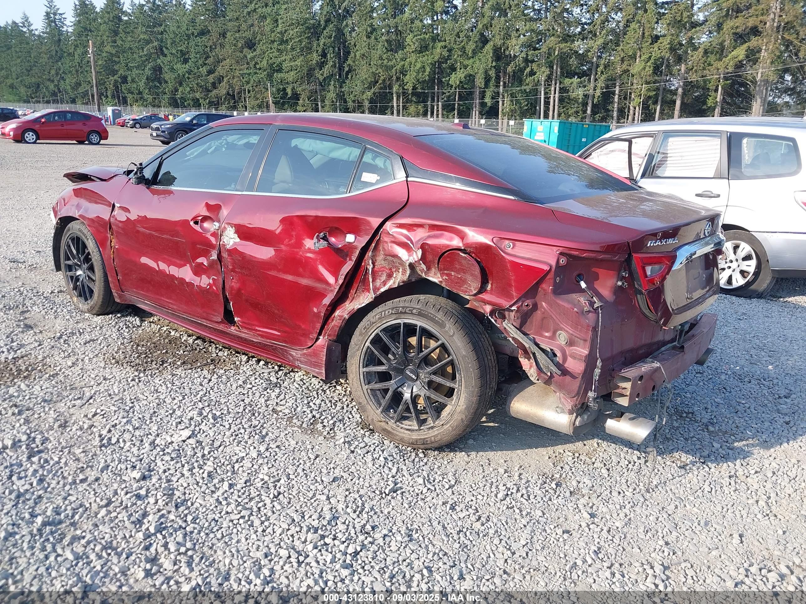NISSAN MAXIMA image 3