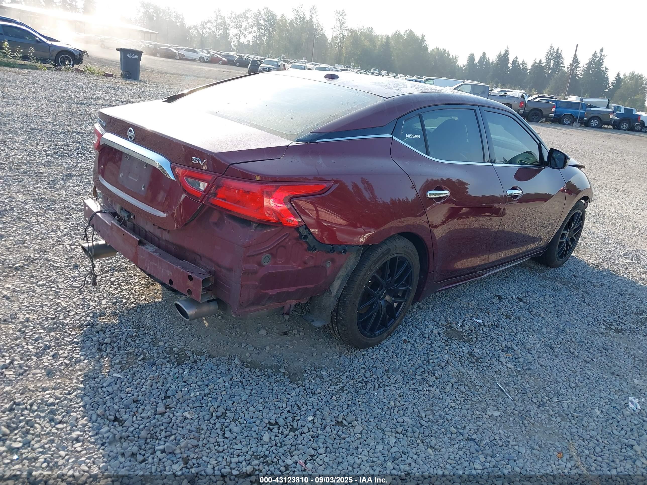 NISSAN MAXIMA image 4