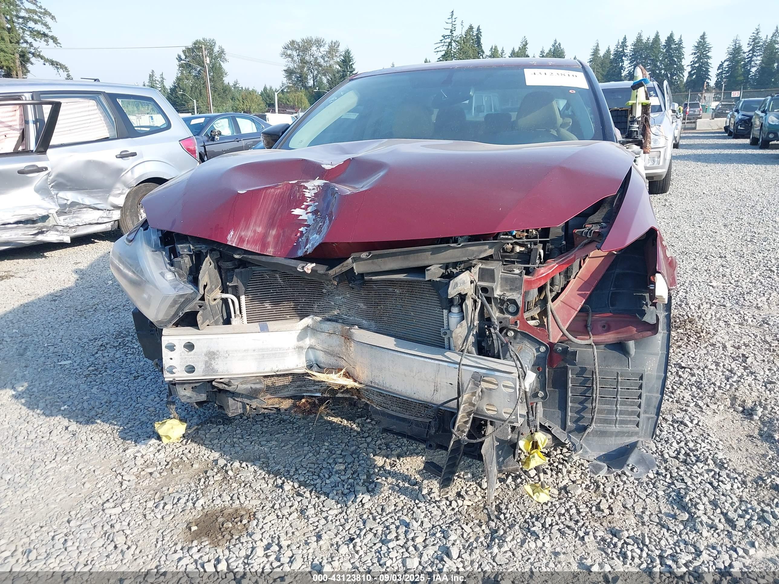 NISSAN MAXIMA image 6