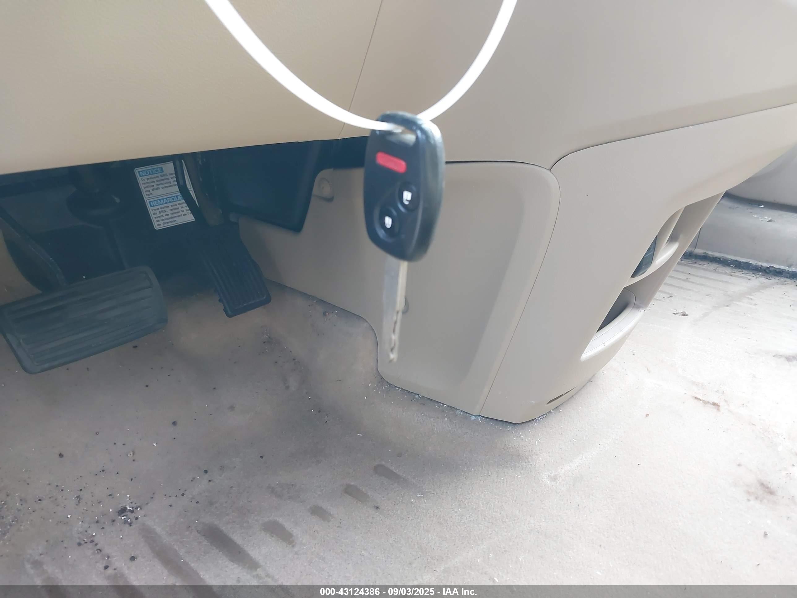 HONDA CR-V image 11