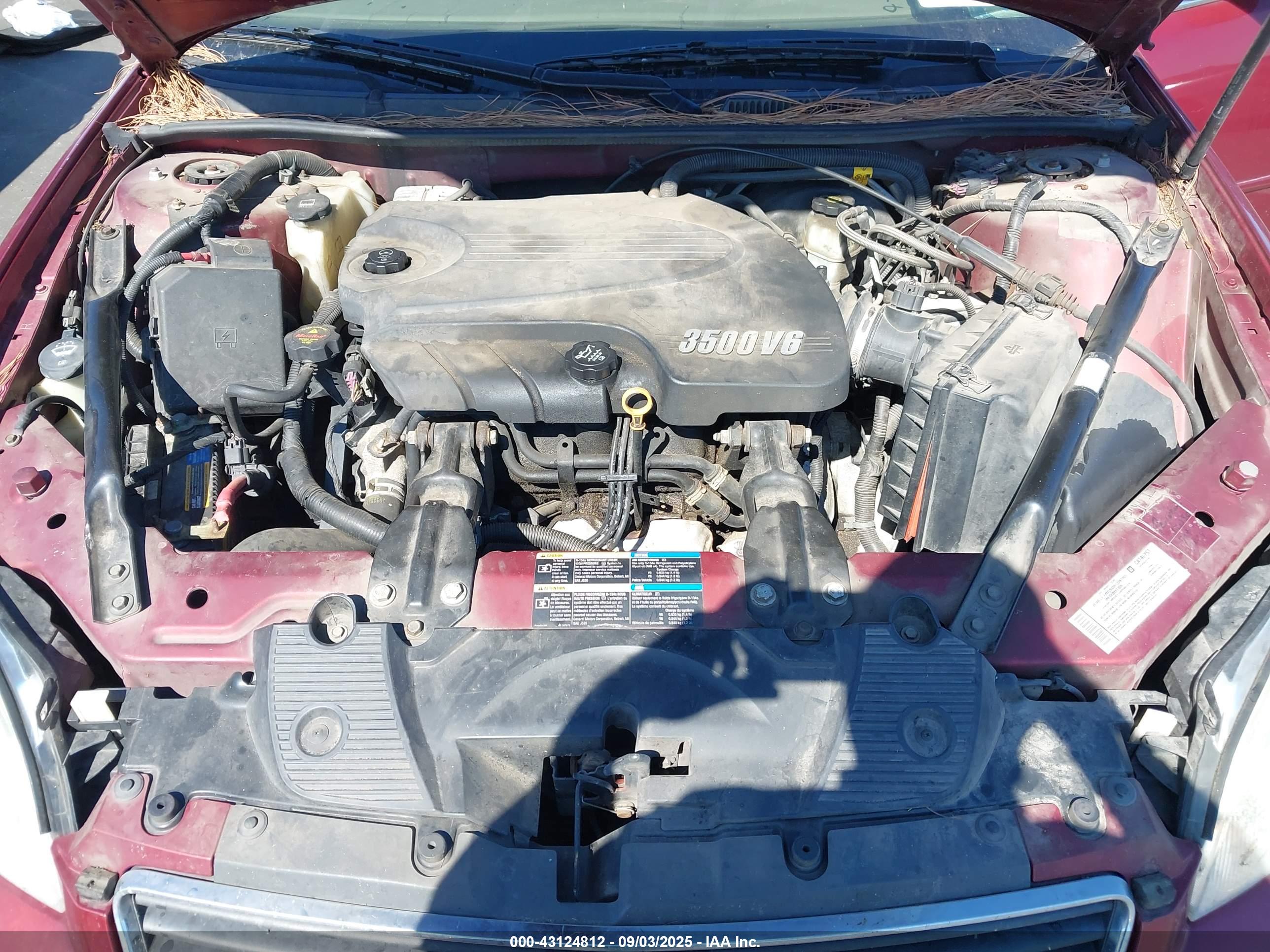 CHEVROLET IMPALA image 10