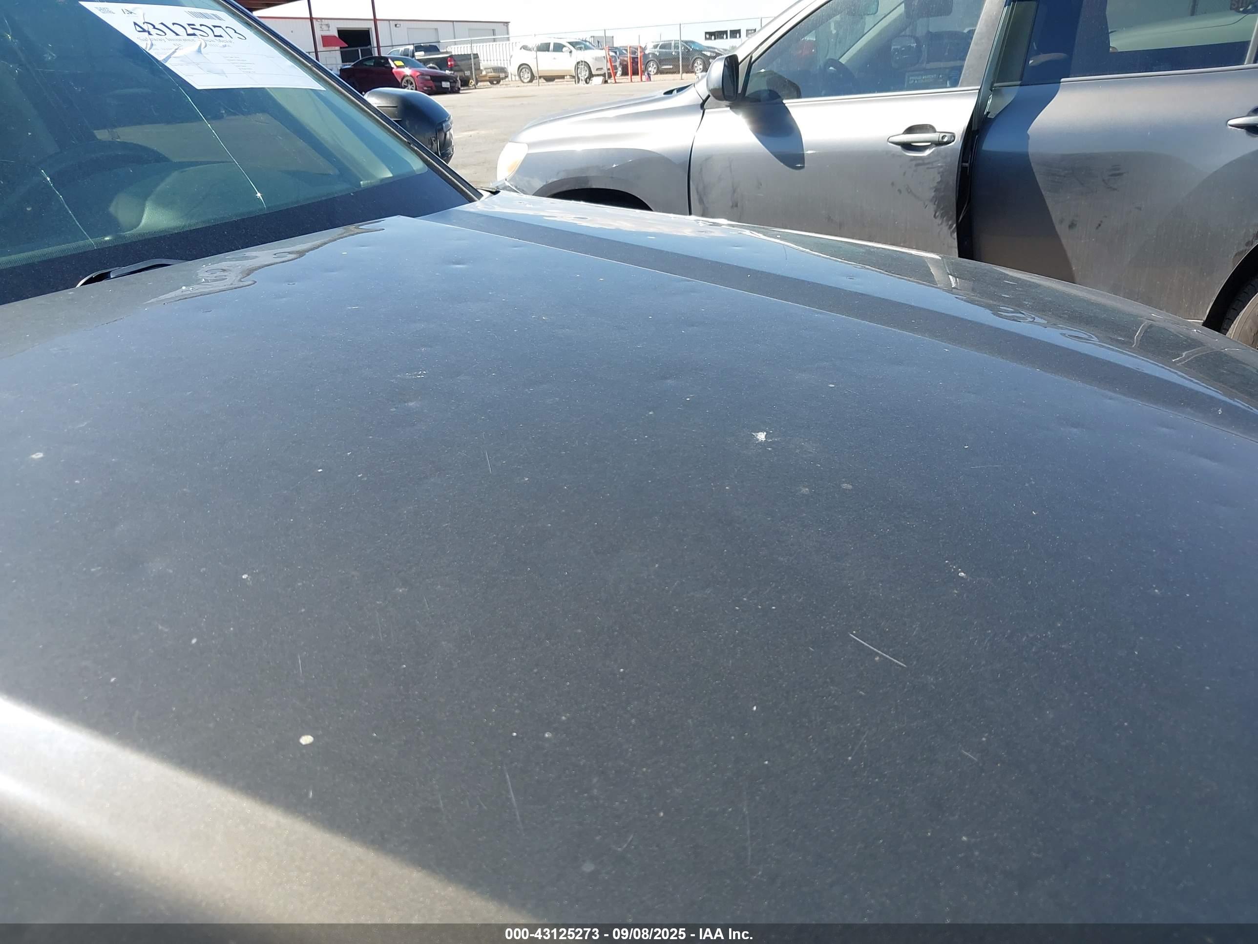 KIA TELLURIDE image 6