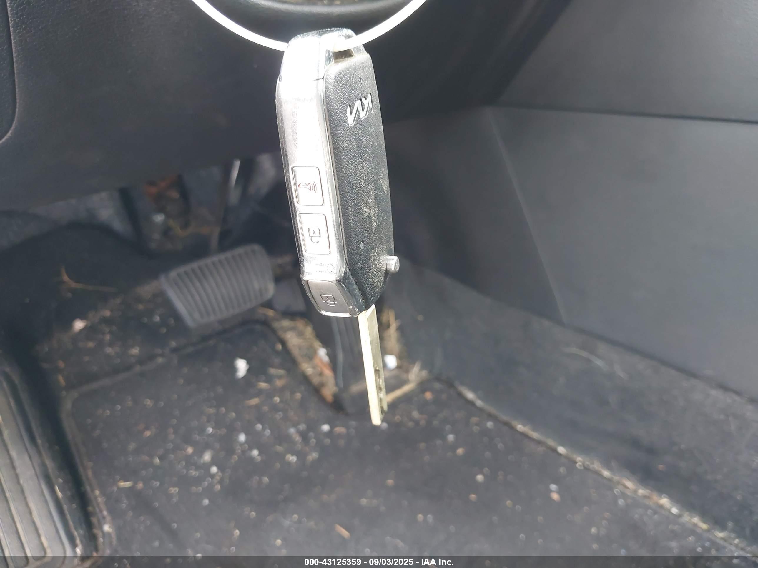 KIA SPORTAGE image 11