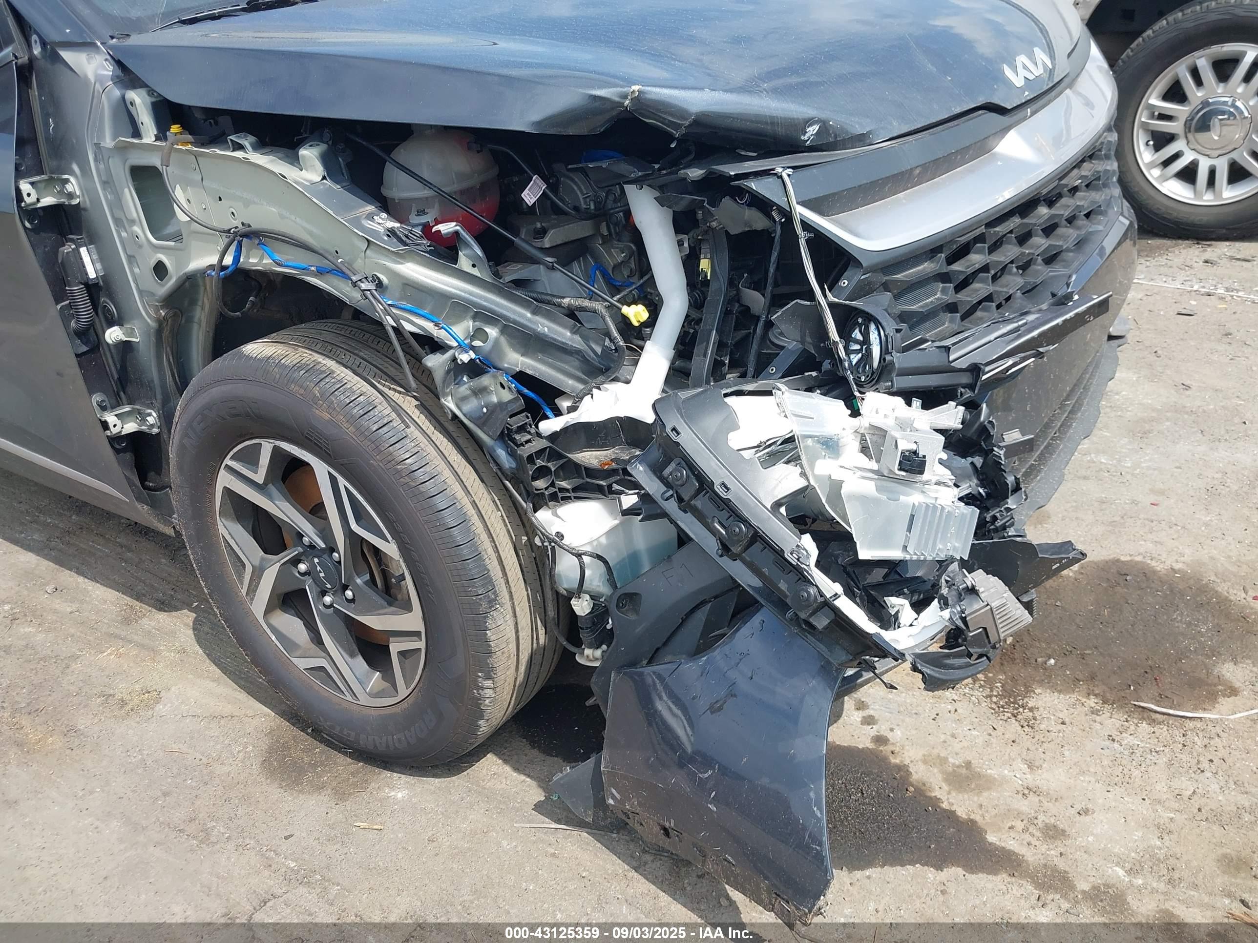 KIA SPORTAGE image 6