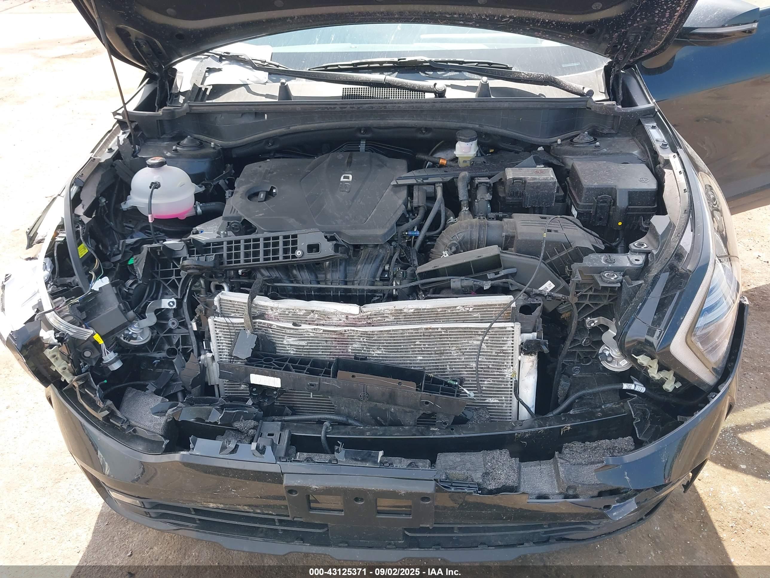 KIA SPORTAGE image 10