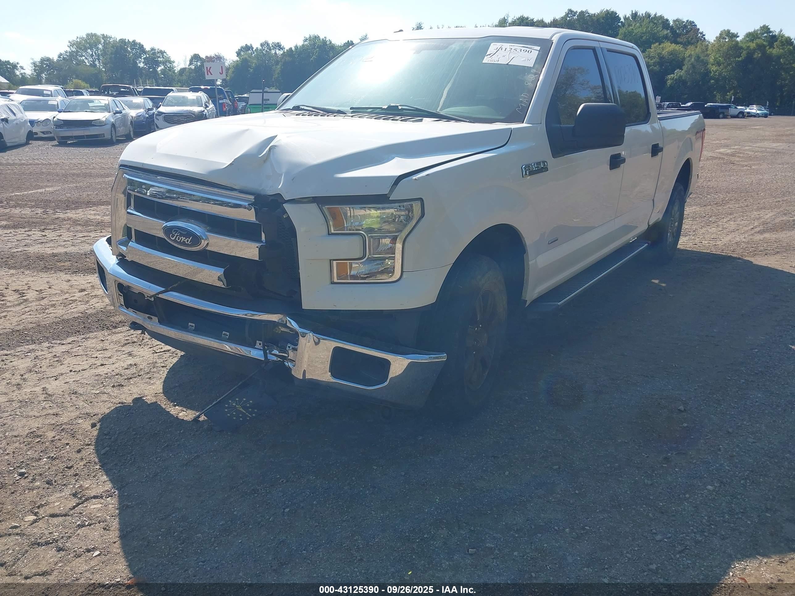 FORD F-150 image 2