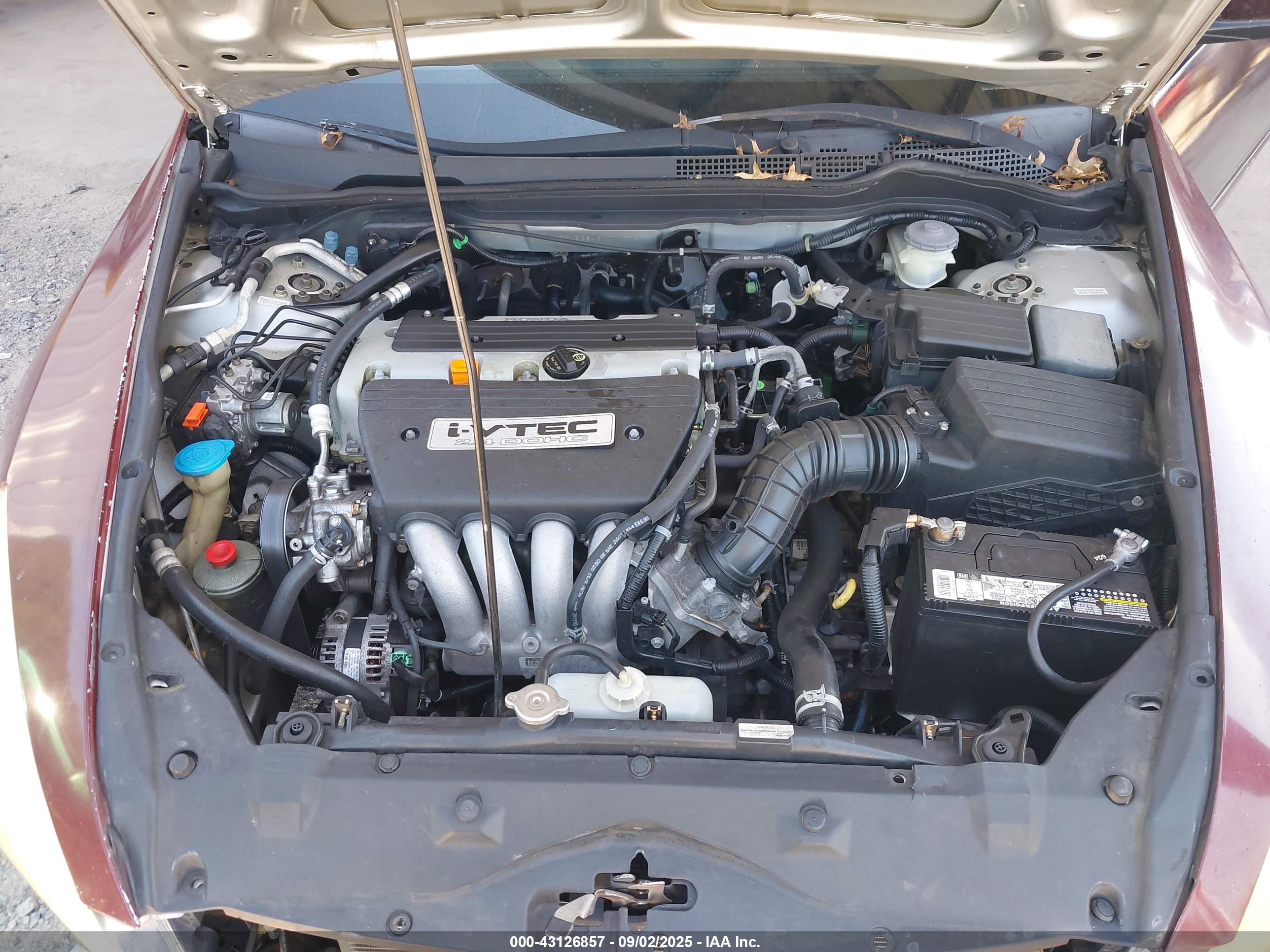 HONDA ACCORD image 10