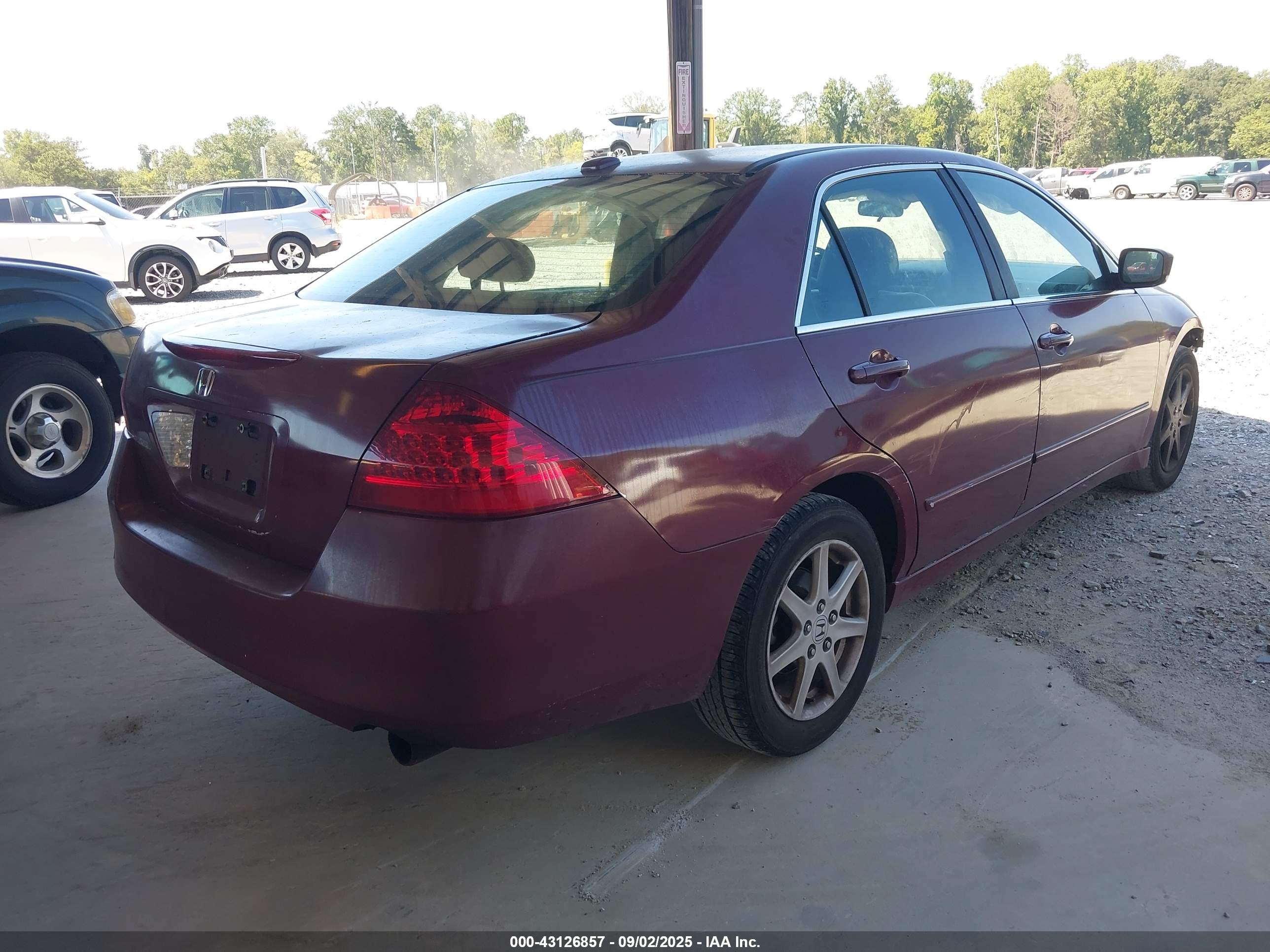 HONDA ACCORD image 4