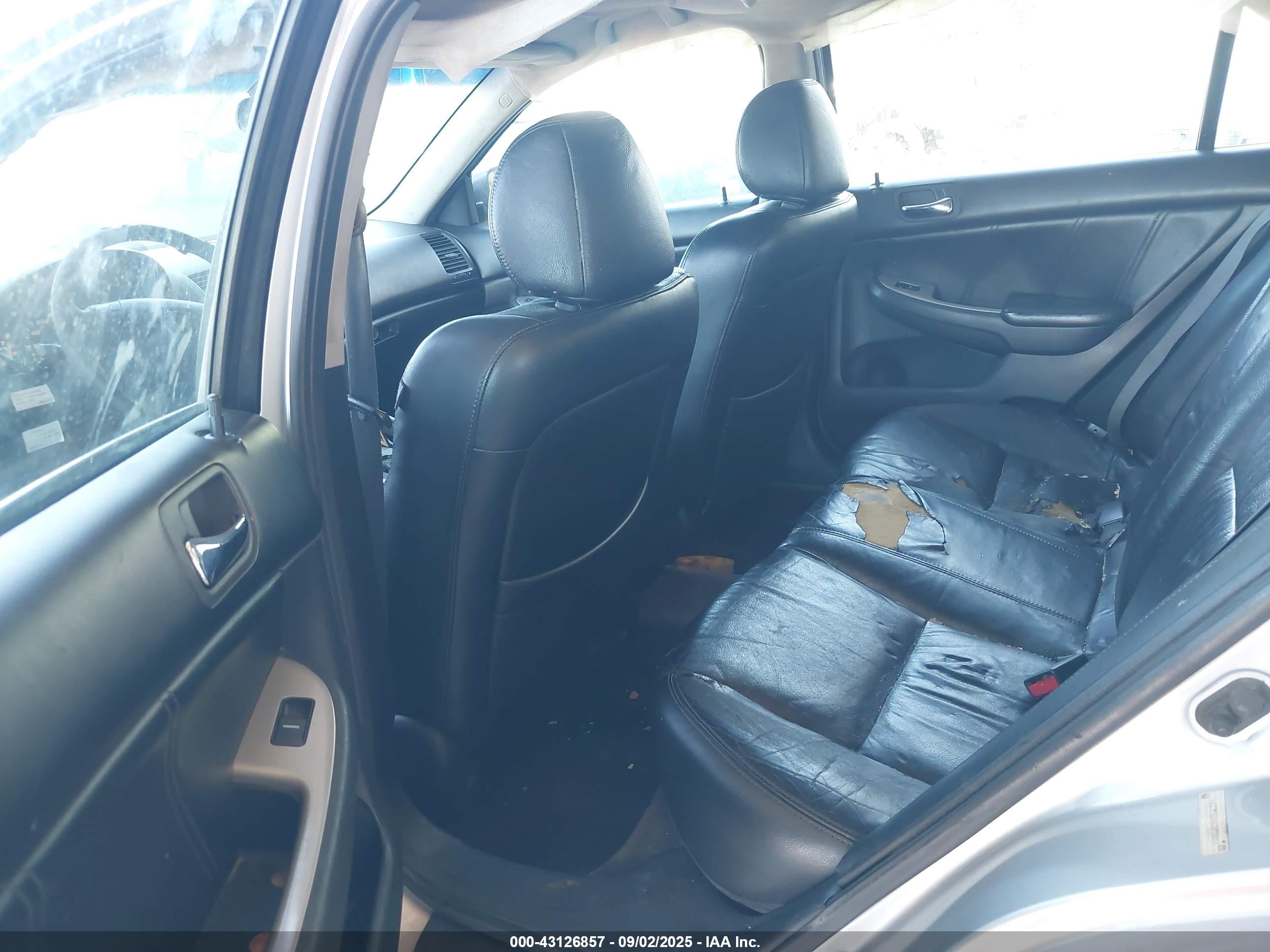 HONDA ACCORD image 8