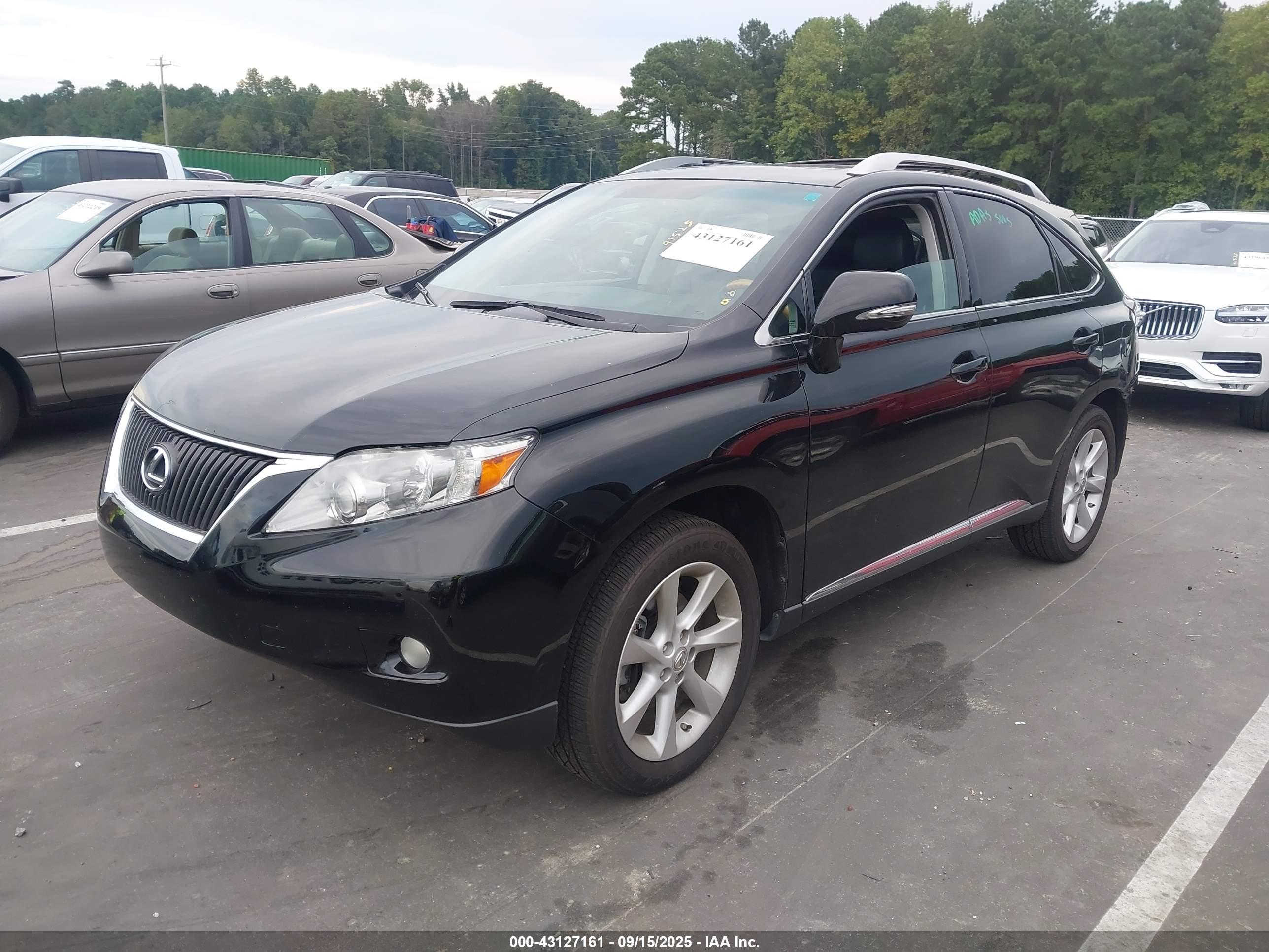 LEXUS RX image 2