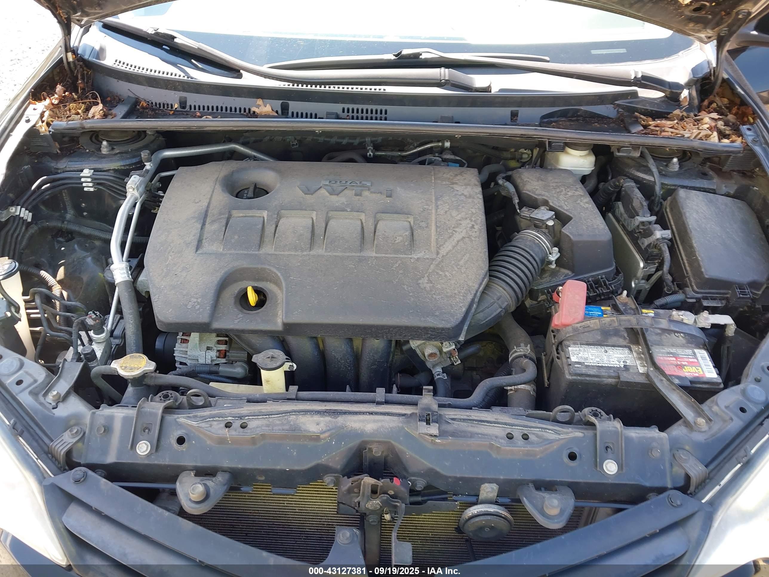 TOYOTA COROLLA image 10