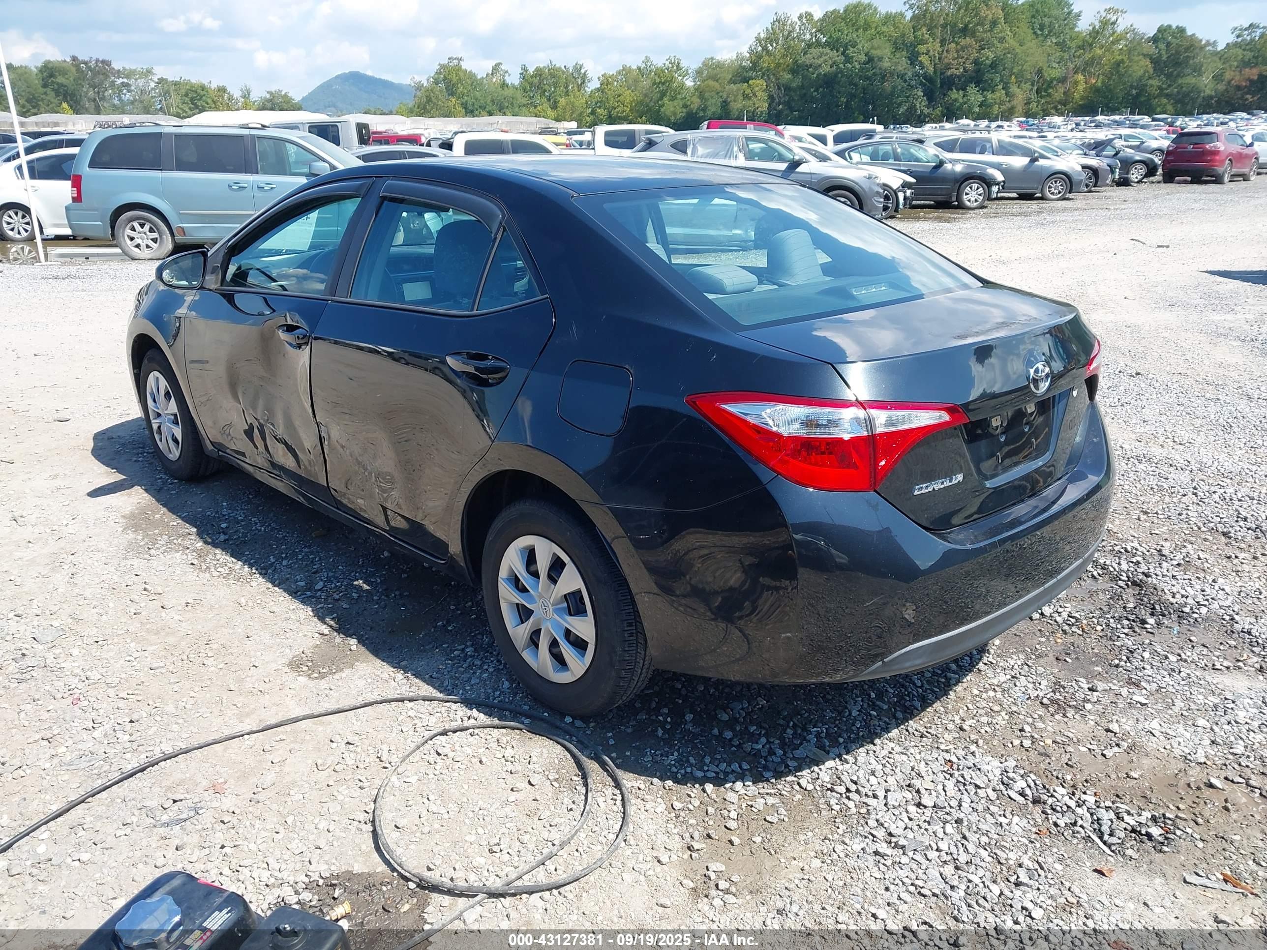 TOYOTA COROLLA image 3