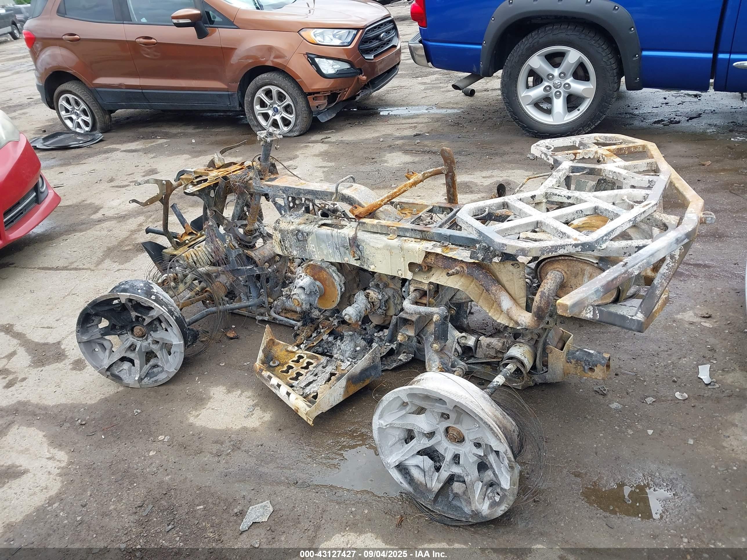 CAN-AM RENEGADE image 3