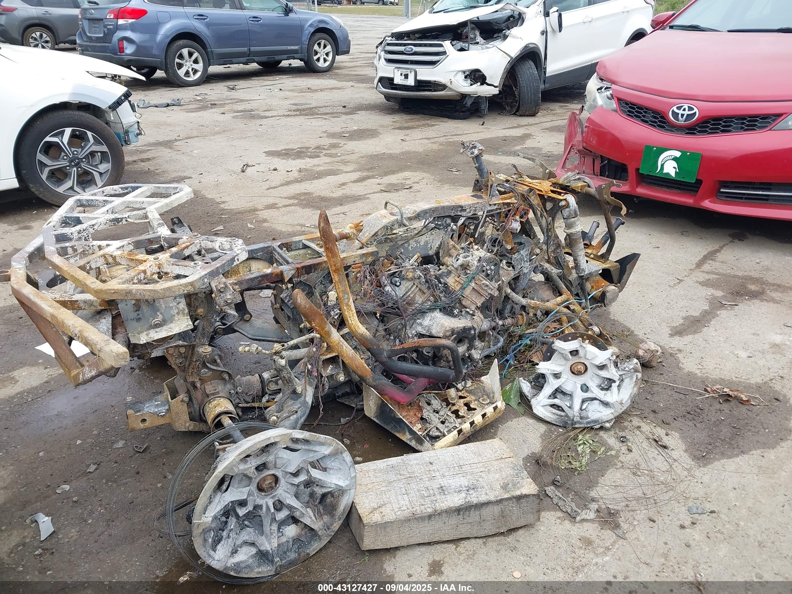 CAN-AM RENEGADE image 4