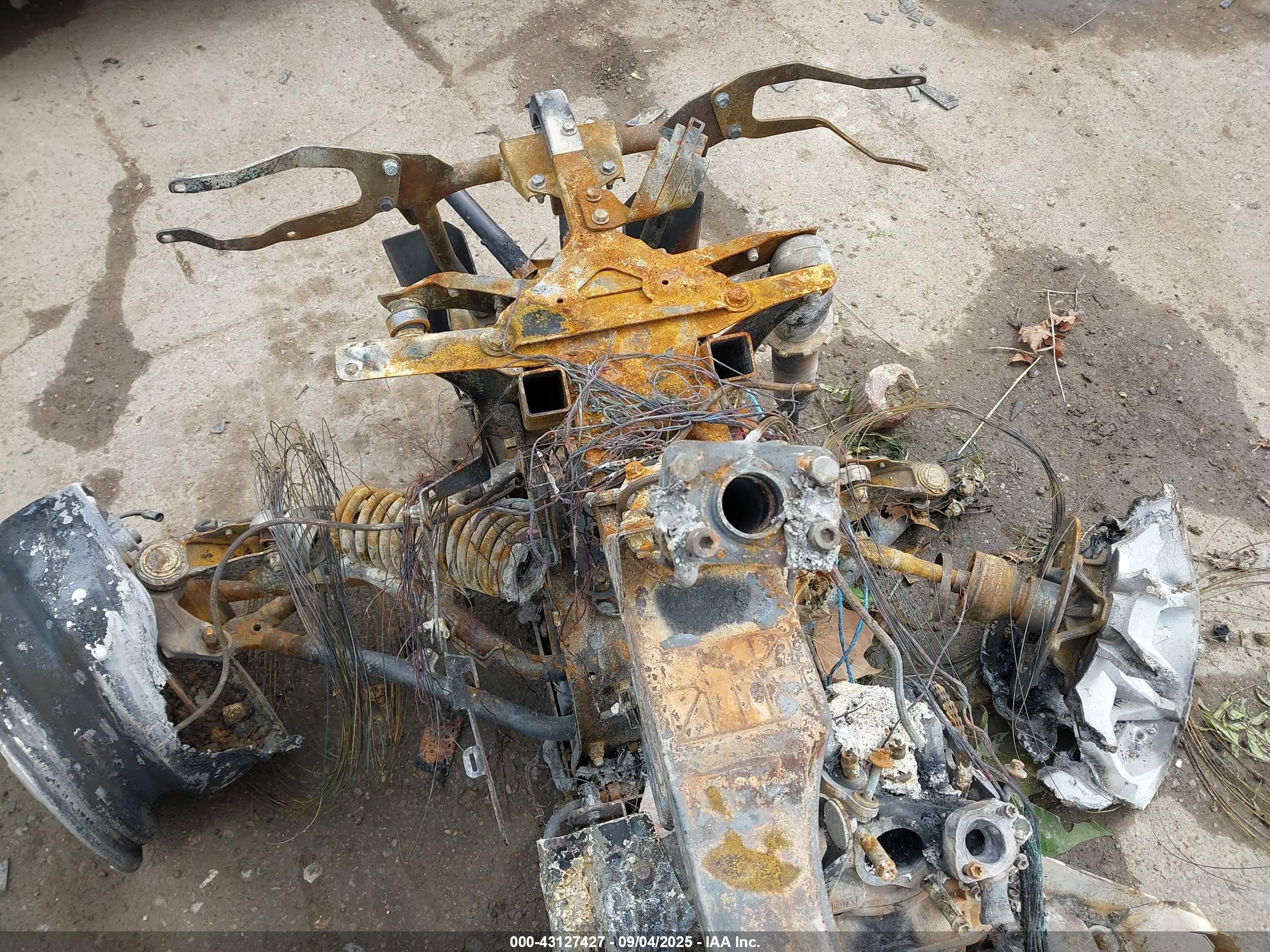 CAN-AM RENEGADE image 7