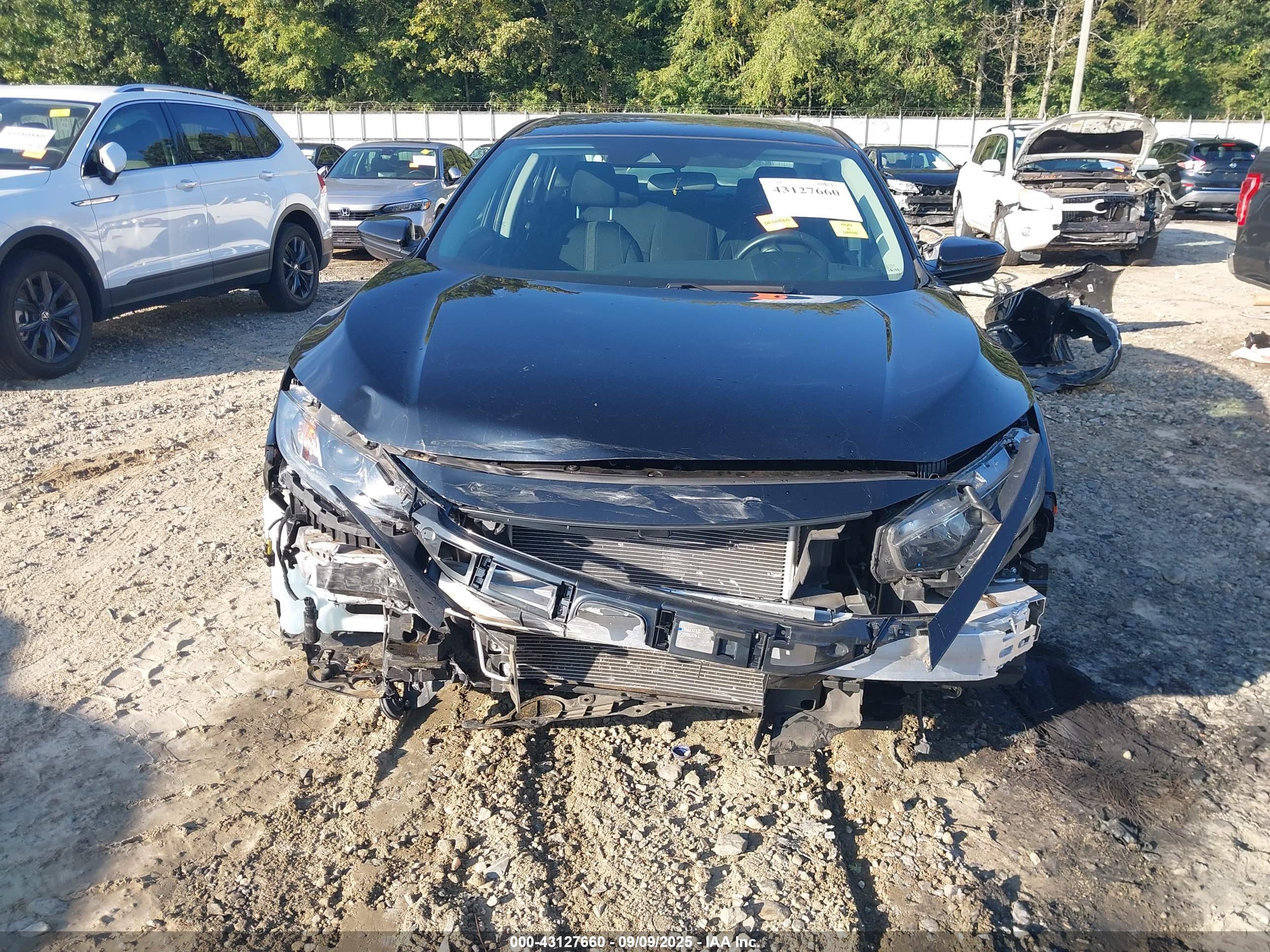 HONDA CIVIC image 6