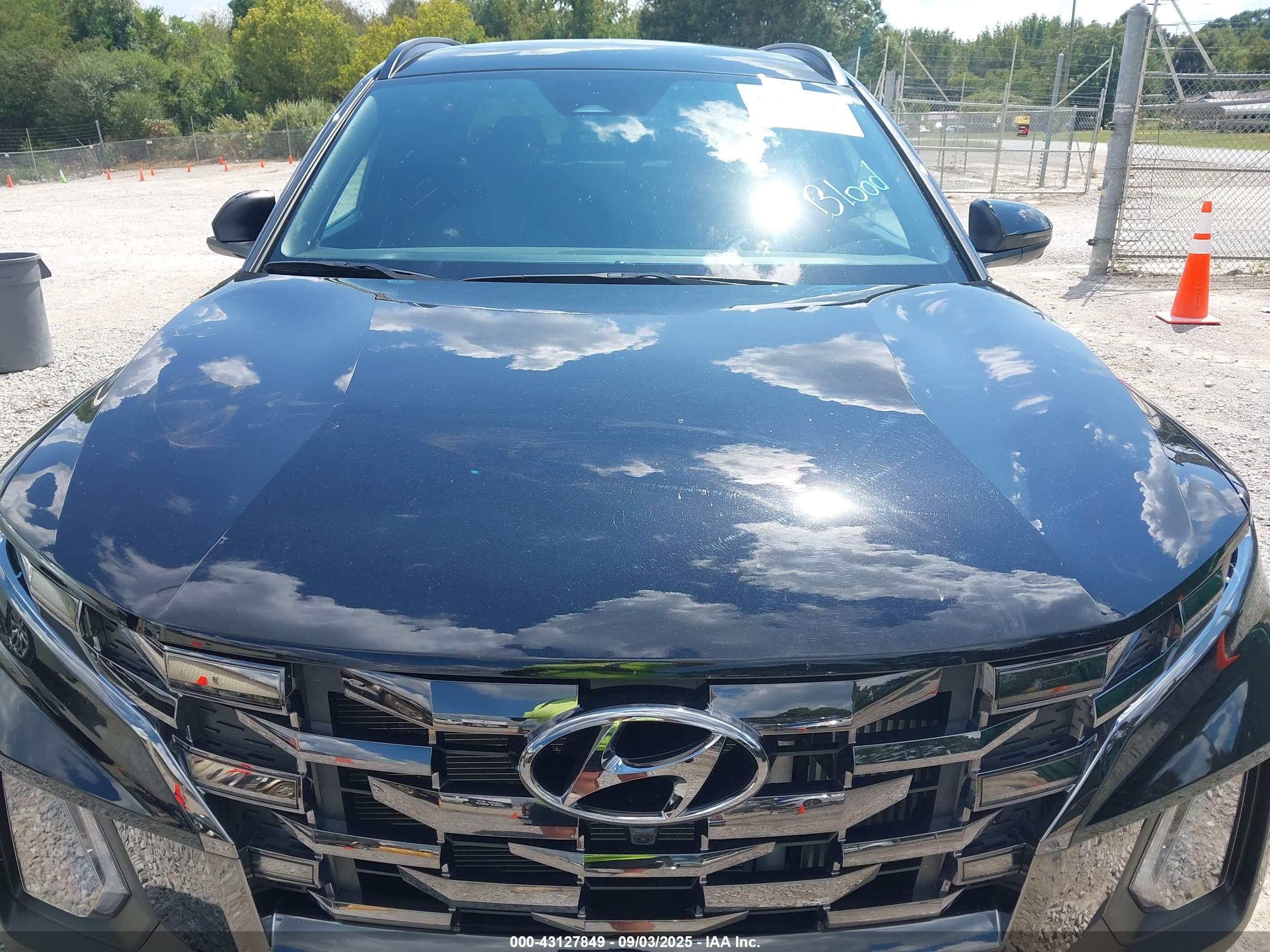 HYUNDAI SANTA image 10