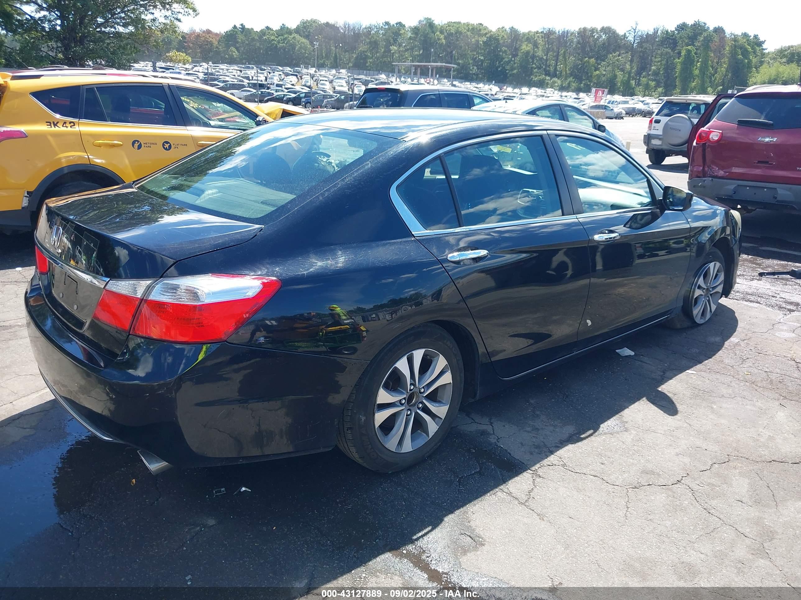 HONDA ACCORD image 4