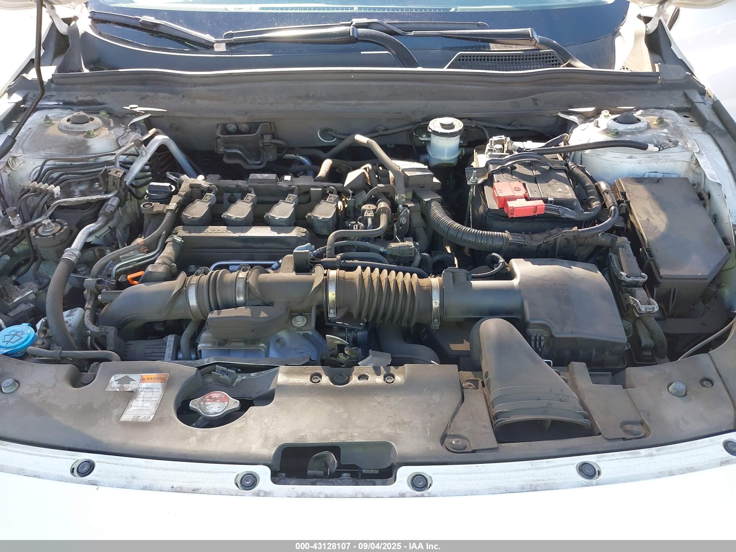 HONDA ACCORD image 10