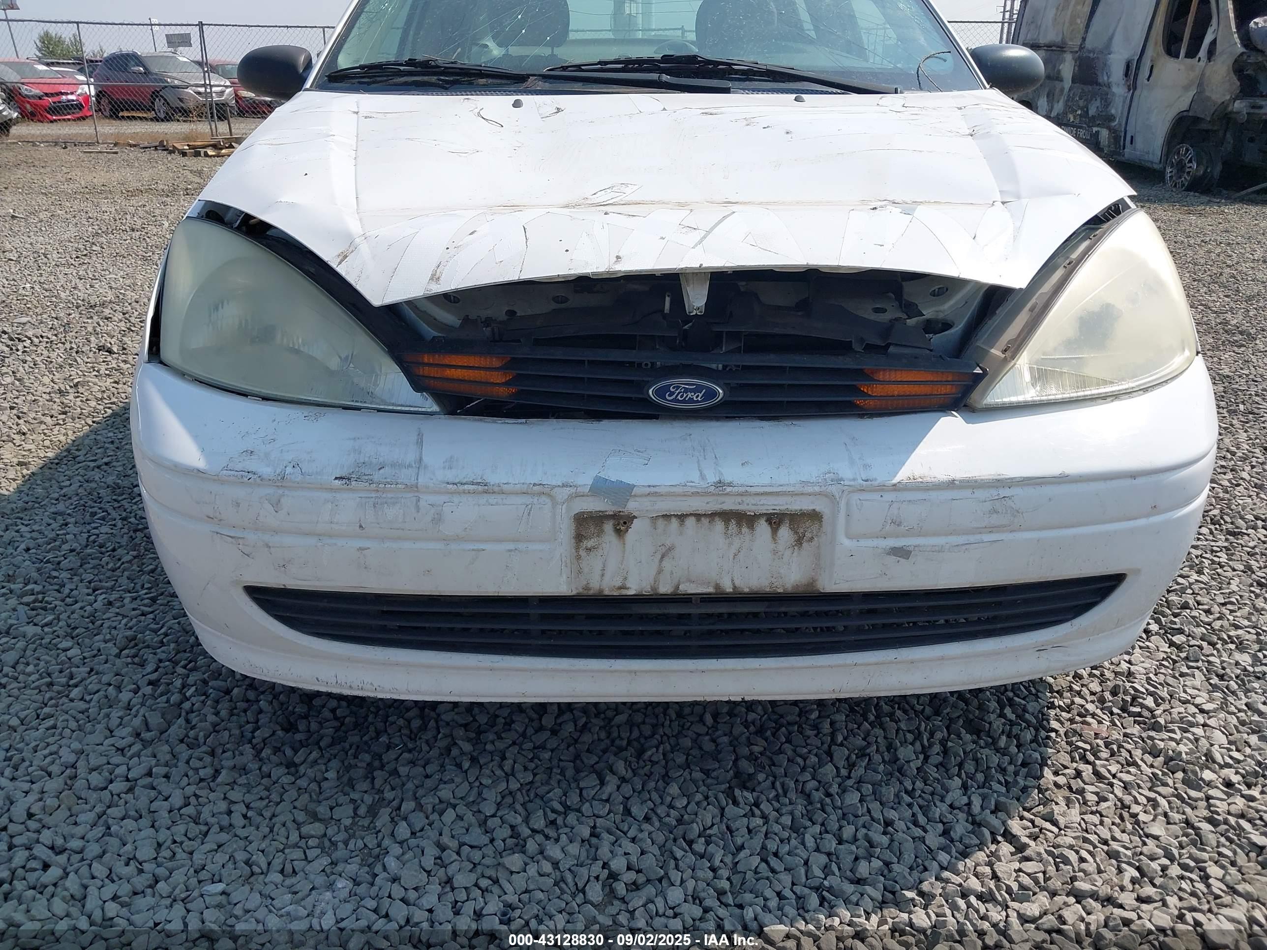 FORD FOCUS image 6