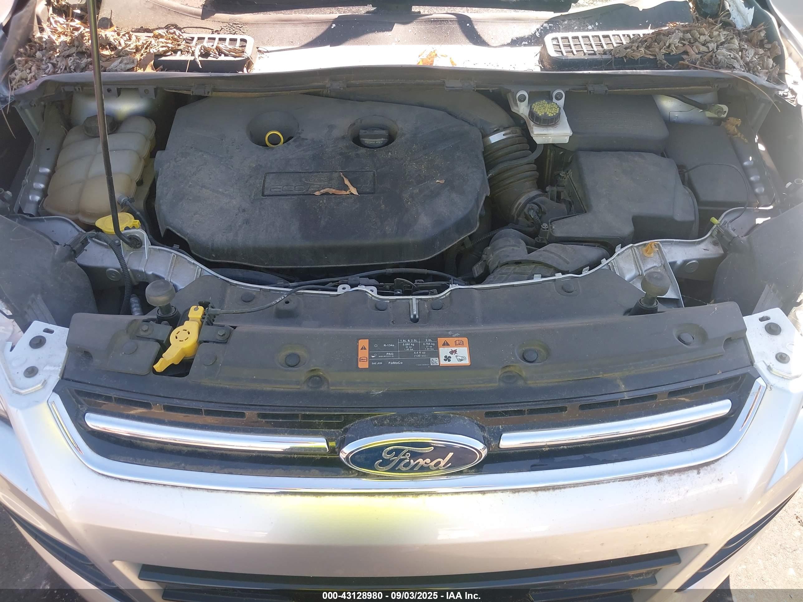 FORD ESCAPE image 10