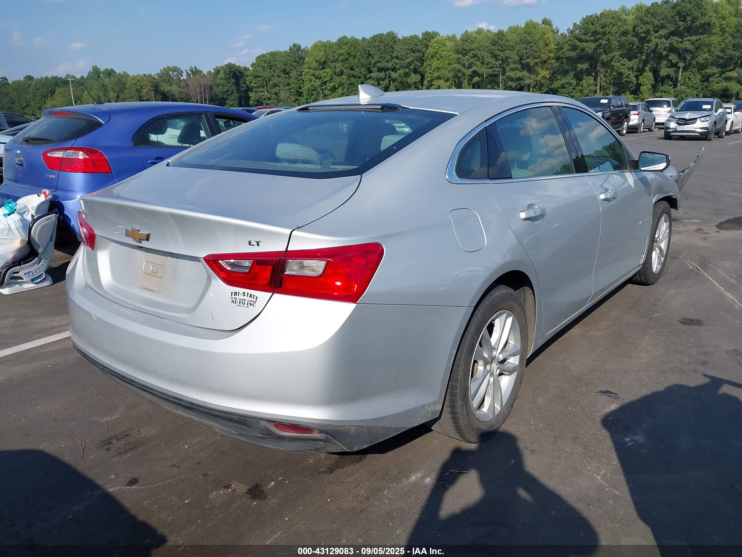 CHEVROLET MALIBU image 4
