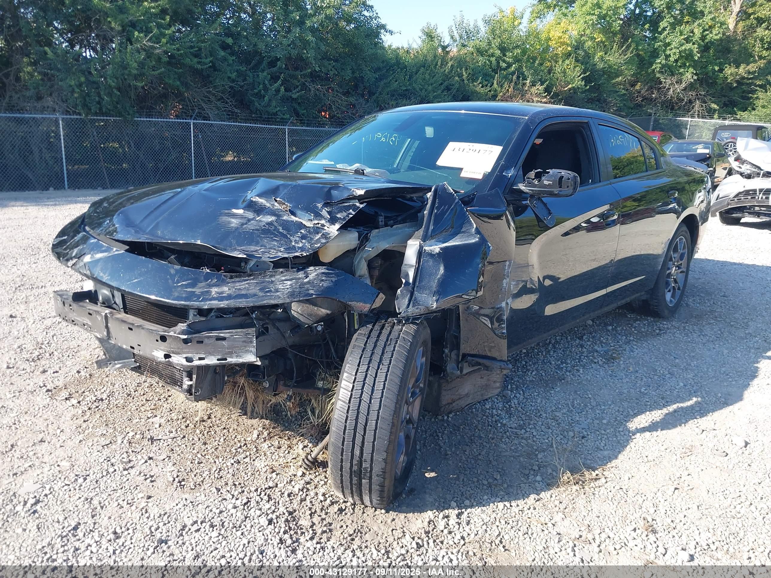 DODGE CHARGER image 2