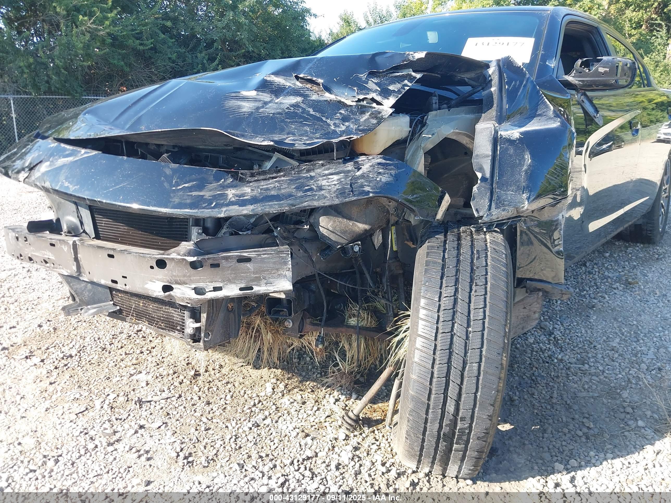 DODGE CHARGER image 6