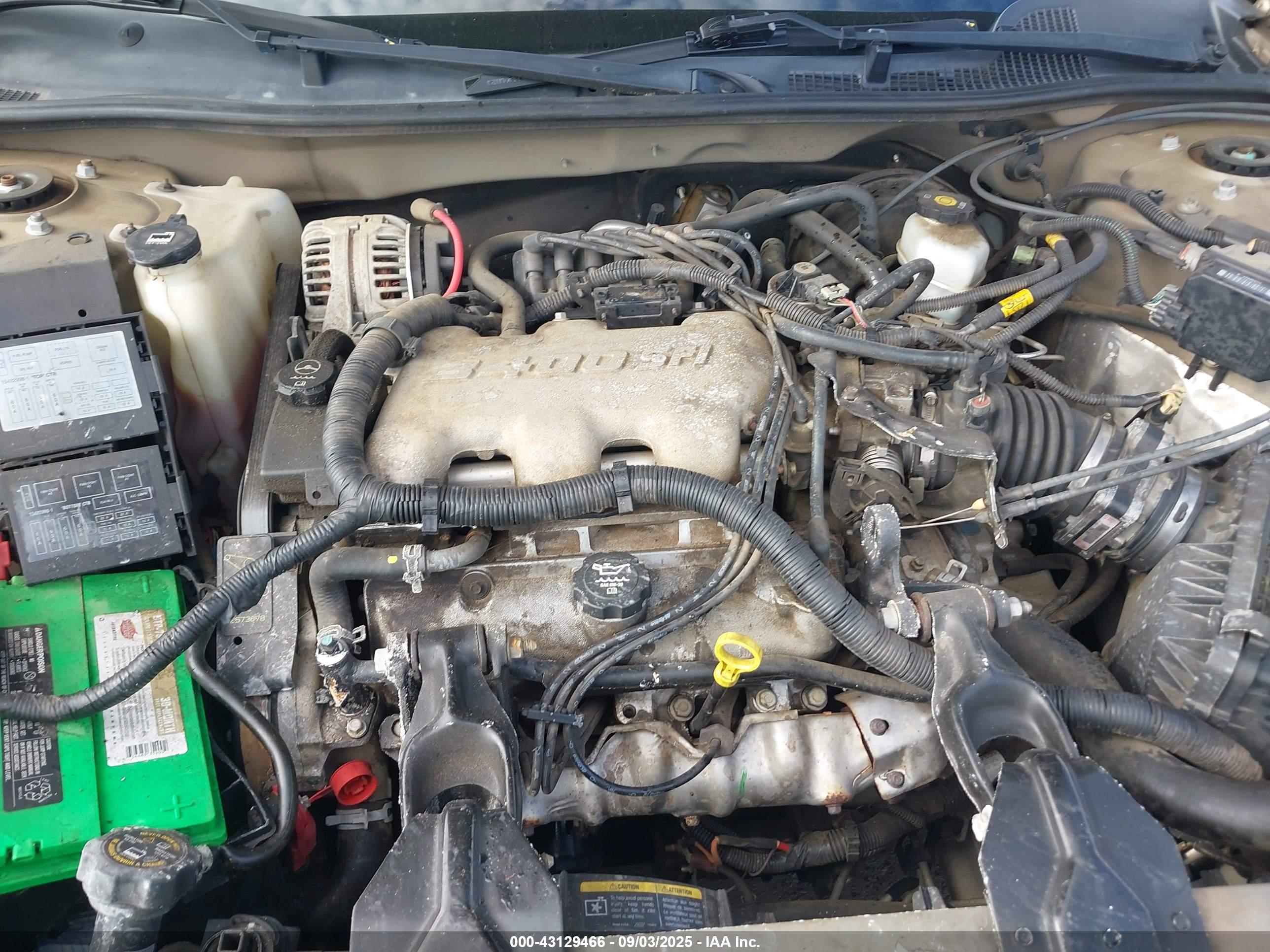 CHEVROLET IMPALA image 10