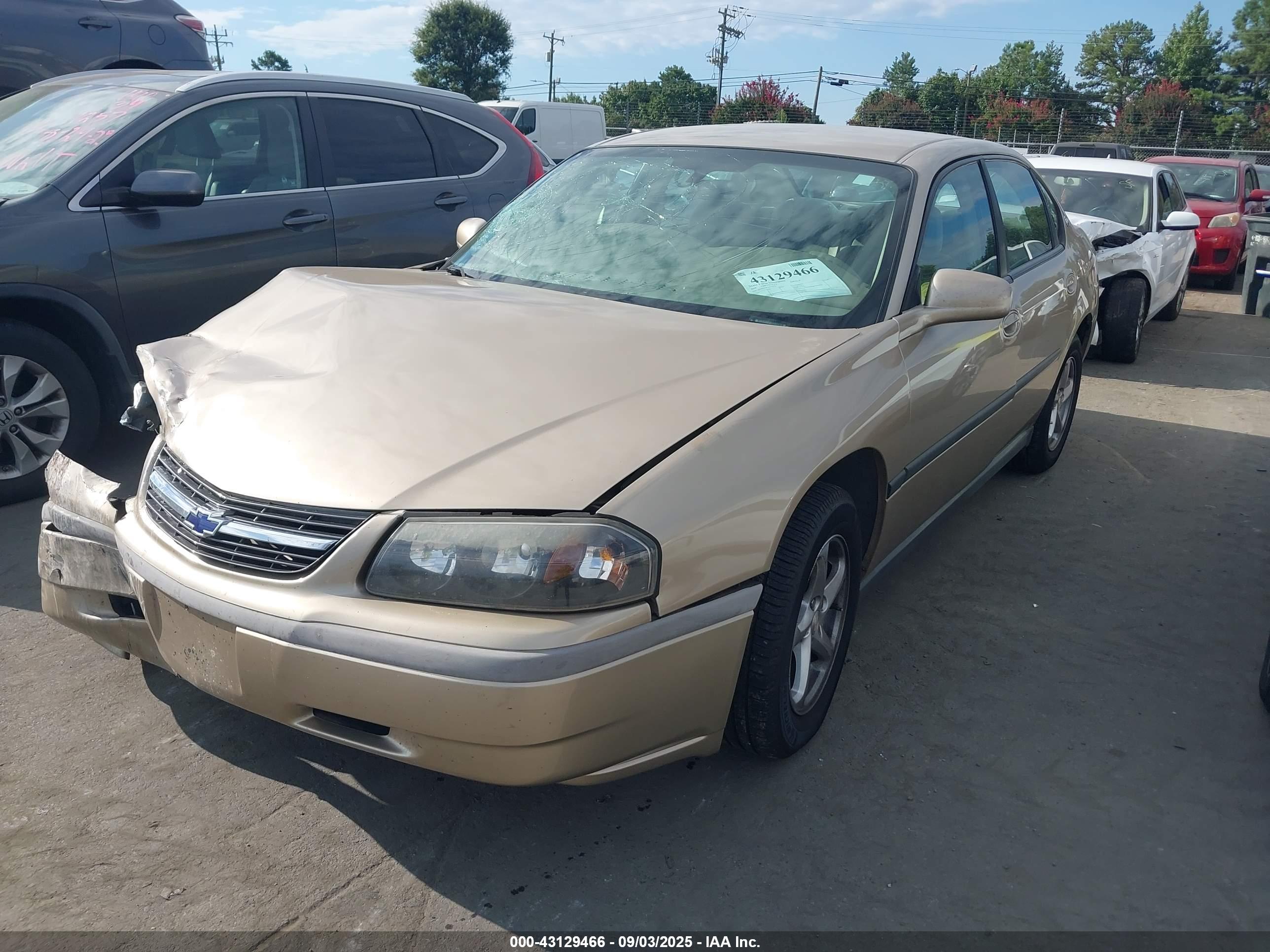 CHEVROLET IMPALA image 2