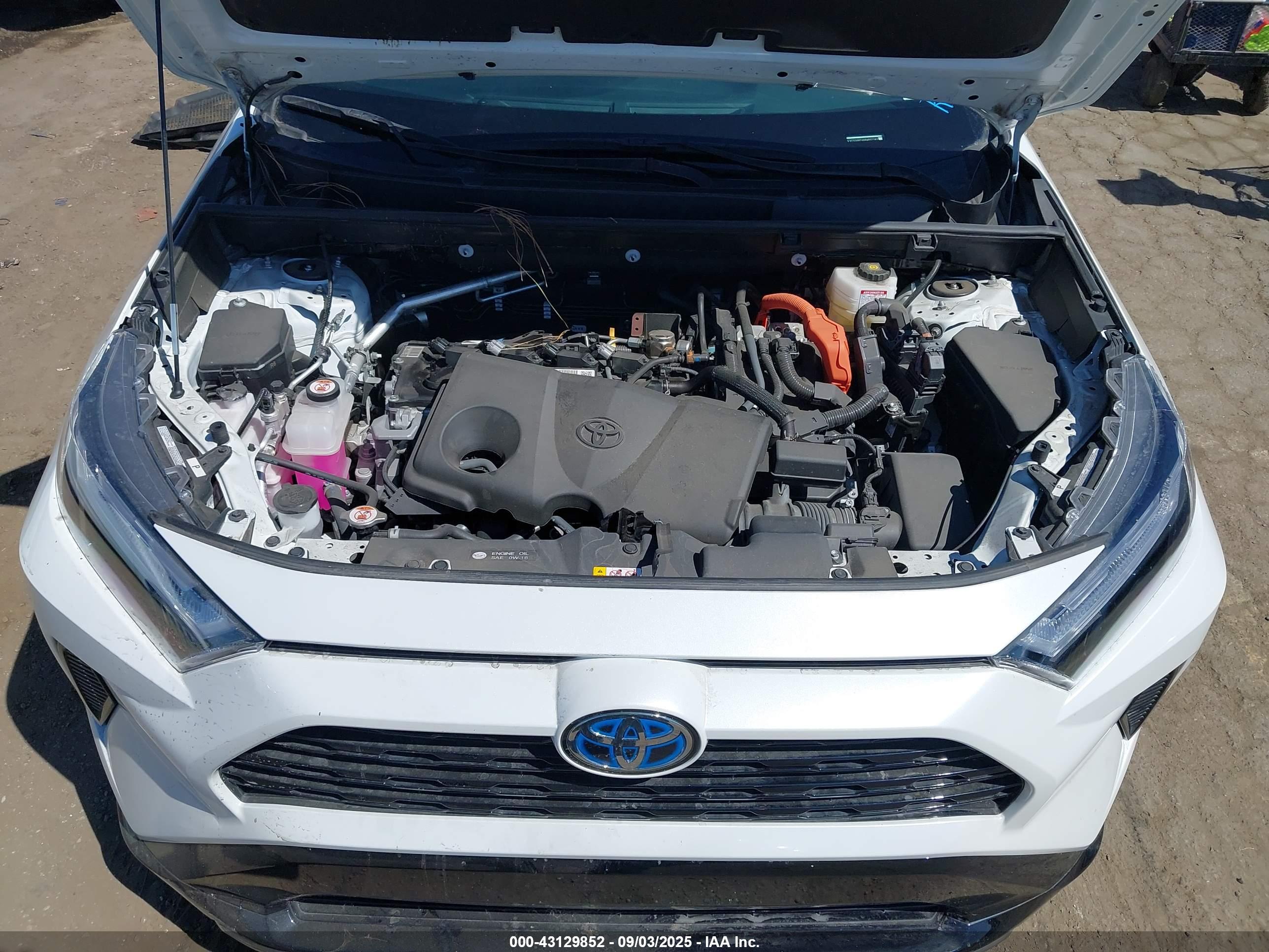 TOYOTA RAV4 image 10