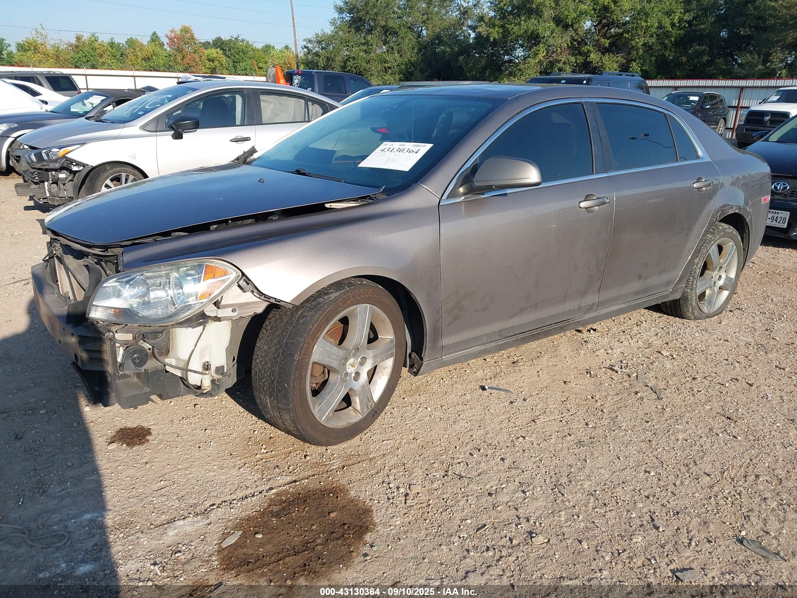CHEVROLET MALIBU image 2