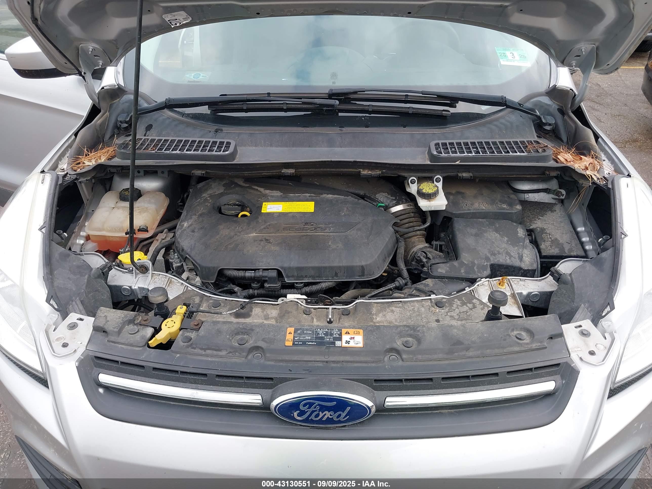 FORD ESCAPE image 10