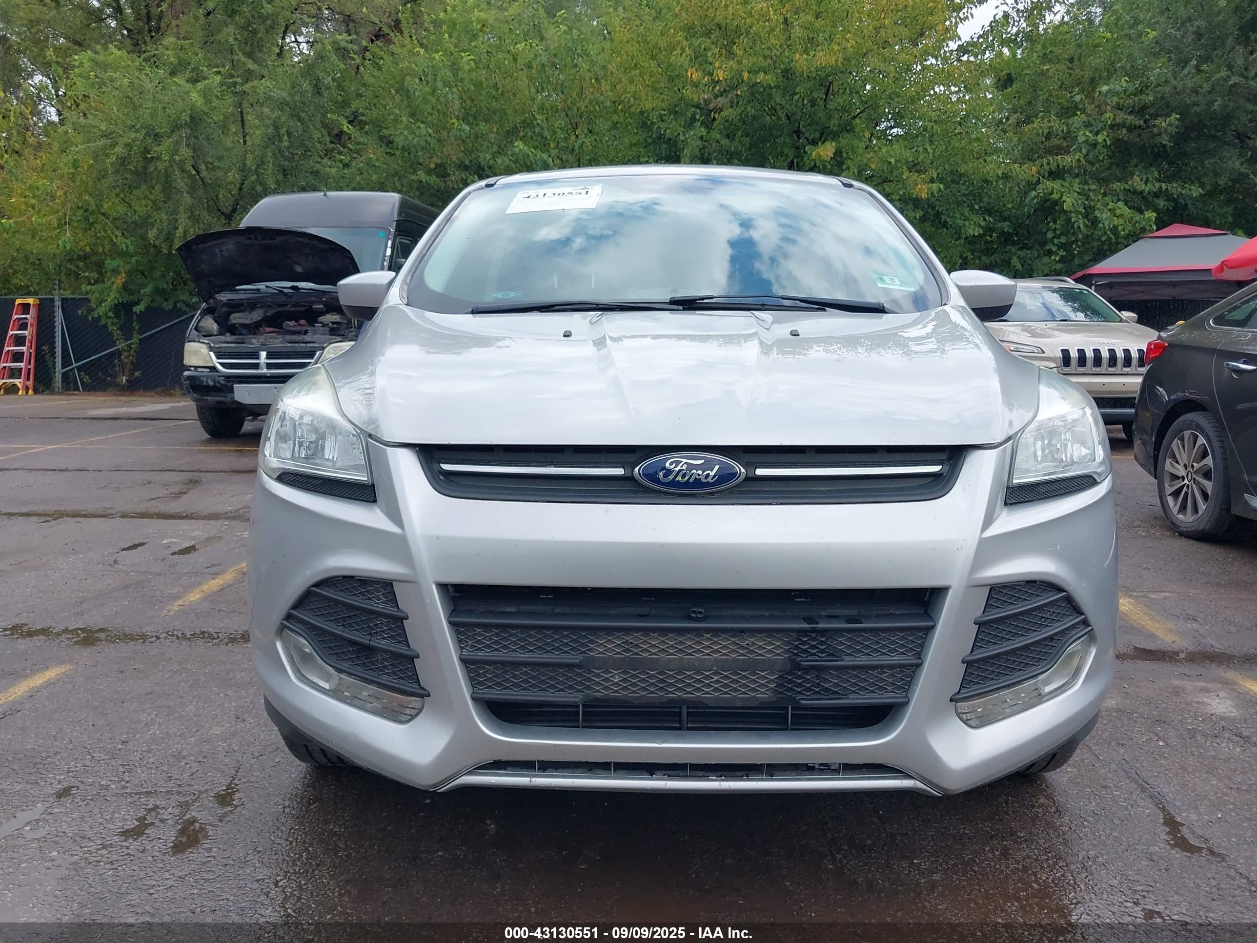 FORD ESCAPE image 6