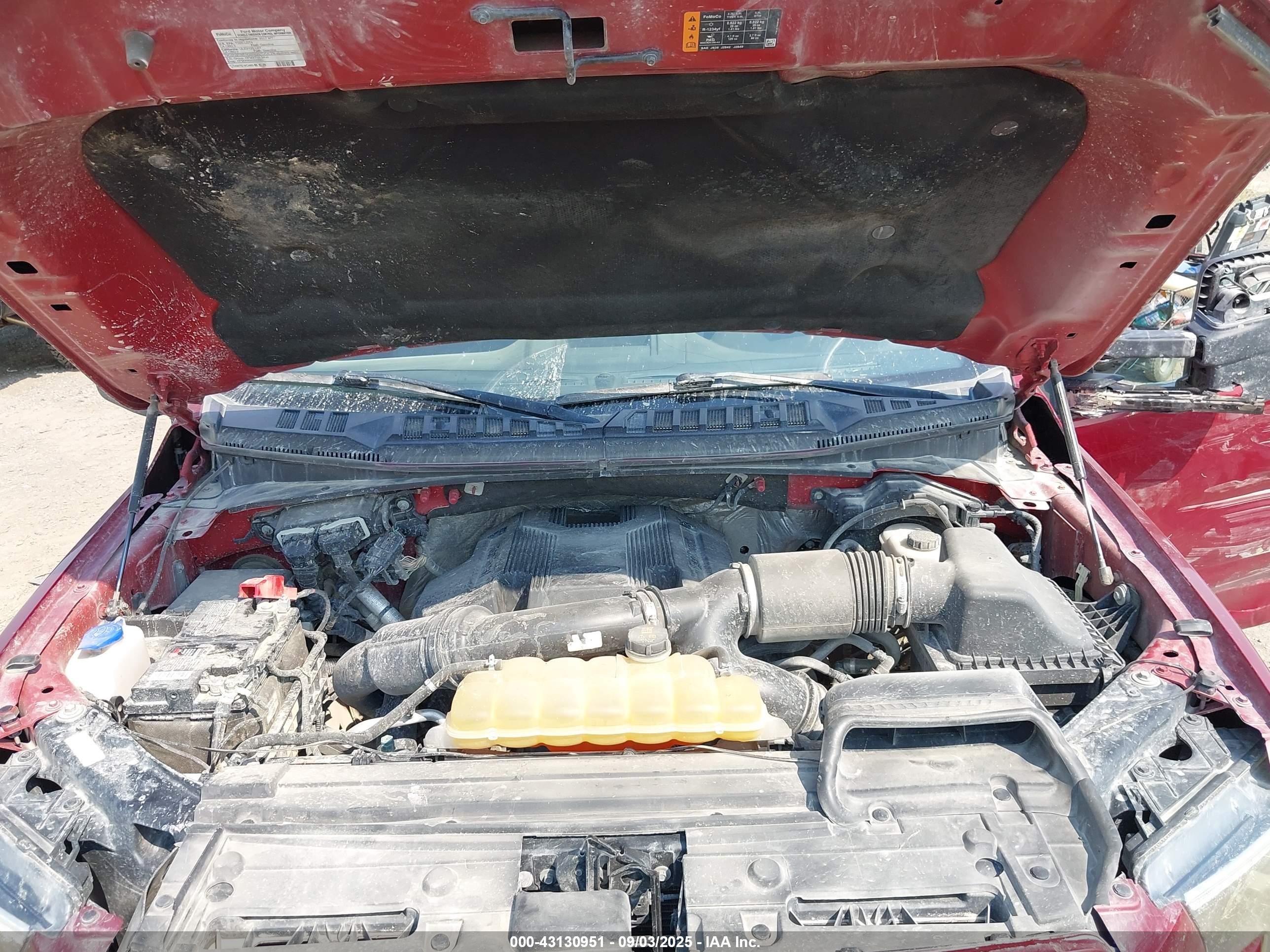 FORD F-150 image 10