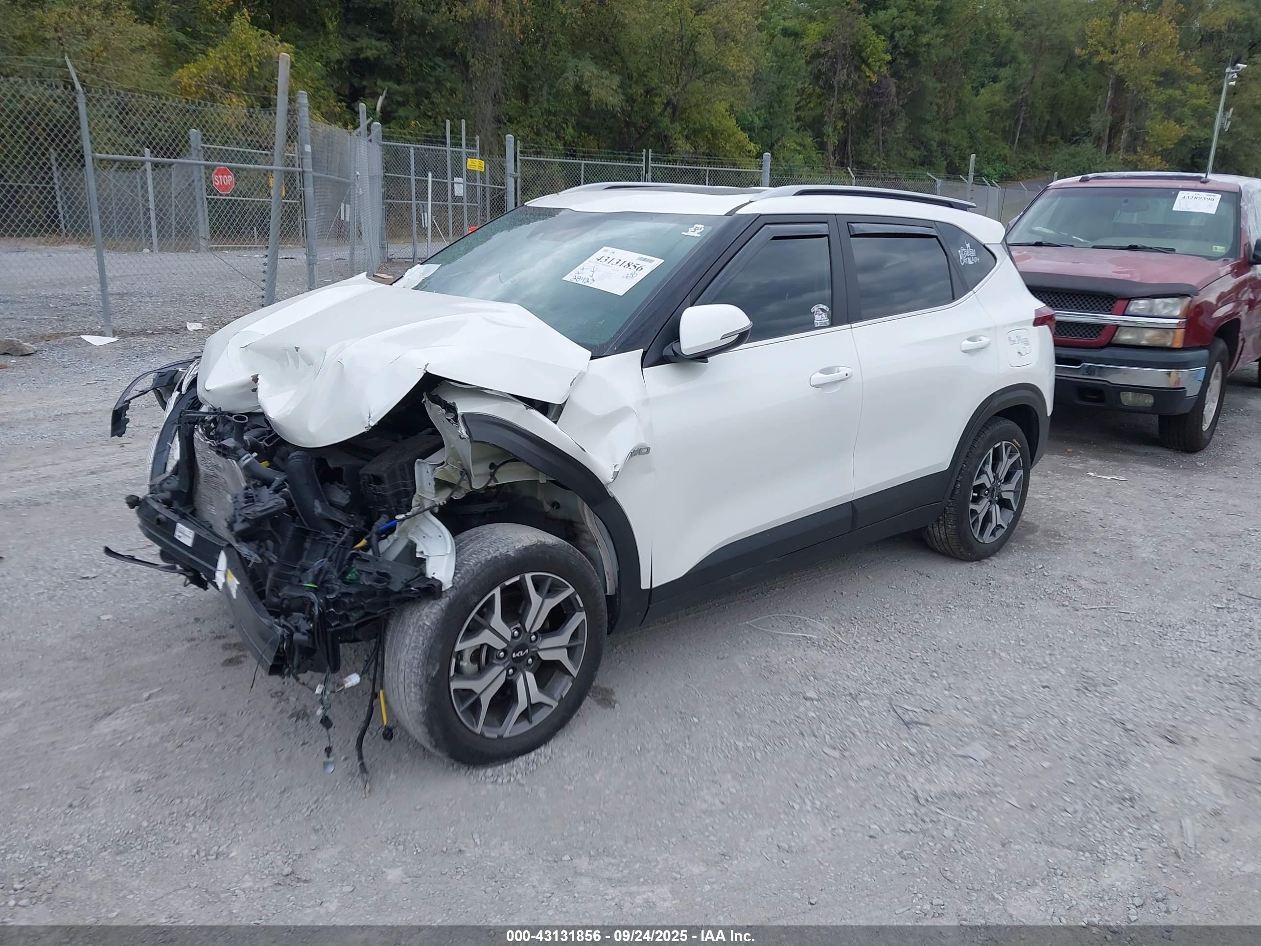 KIA SELTOS image 2