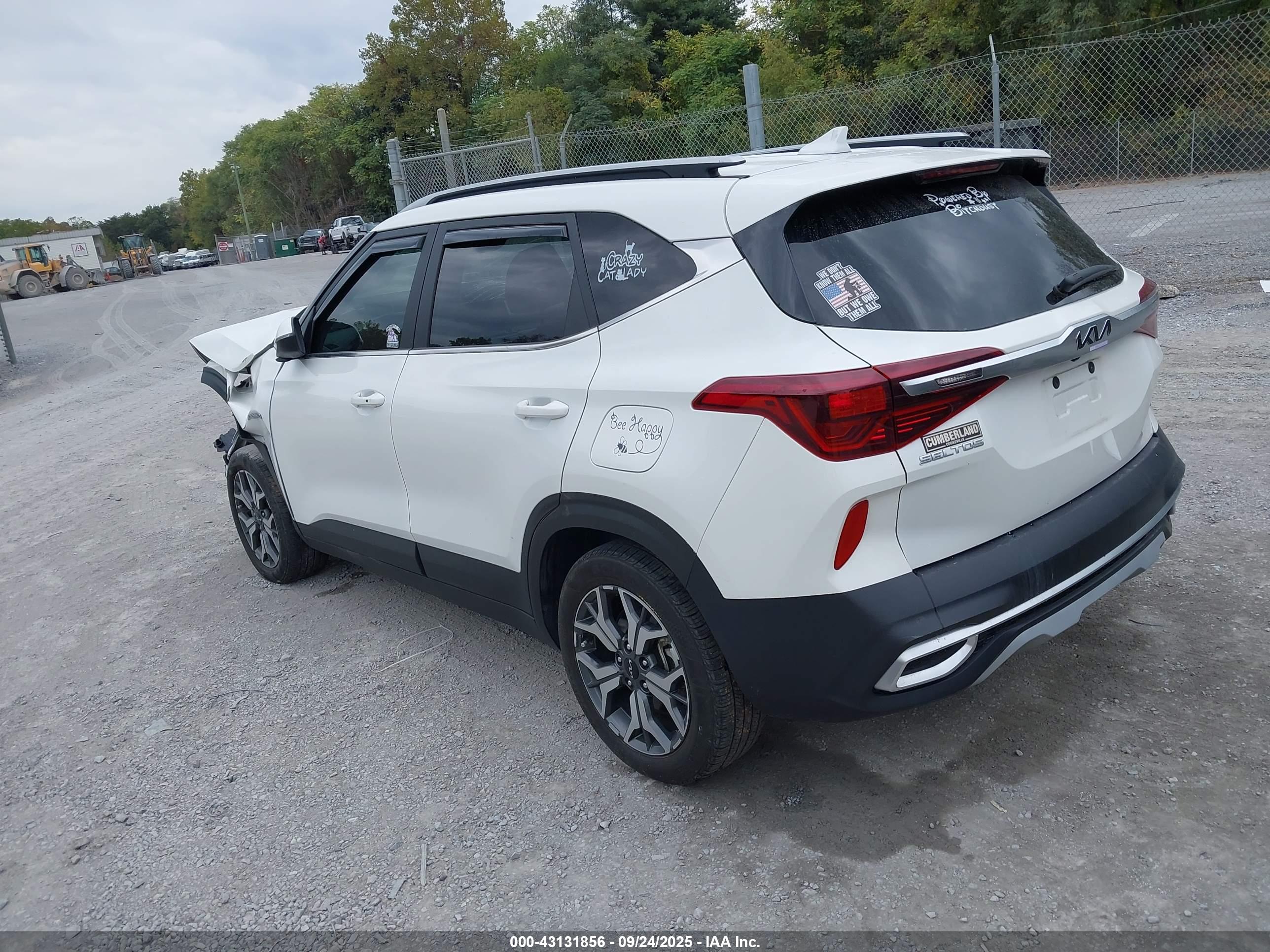 KIA SELTOS image 3