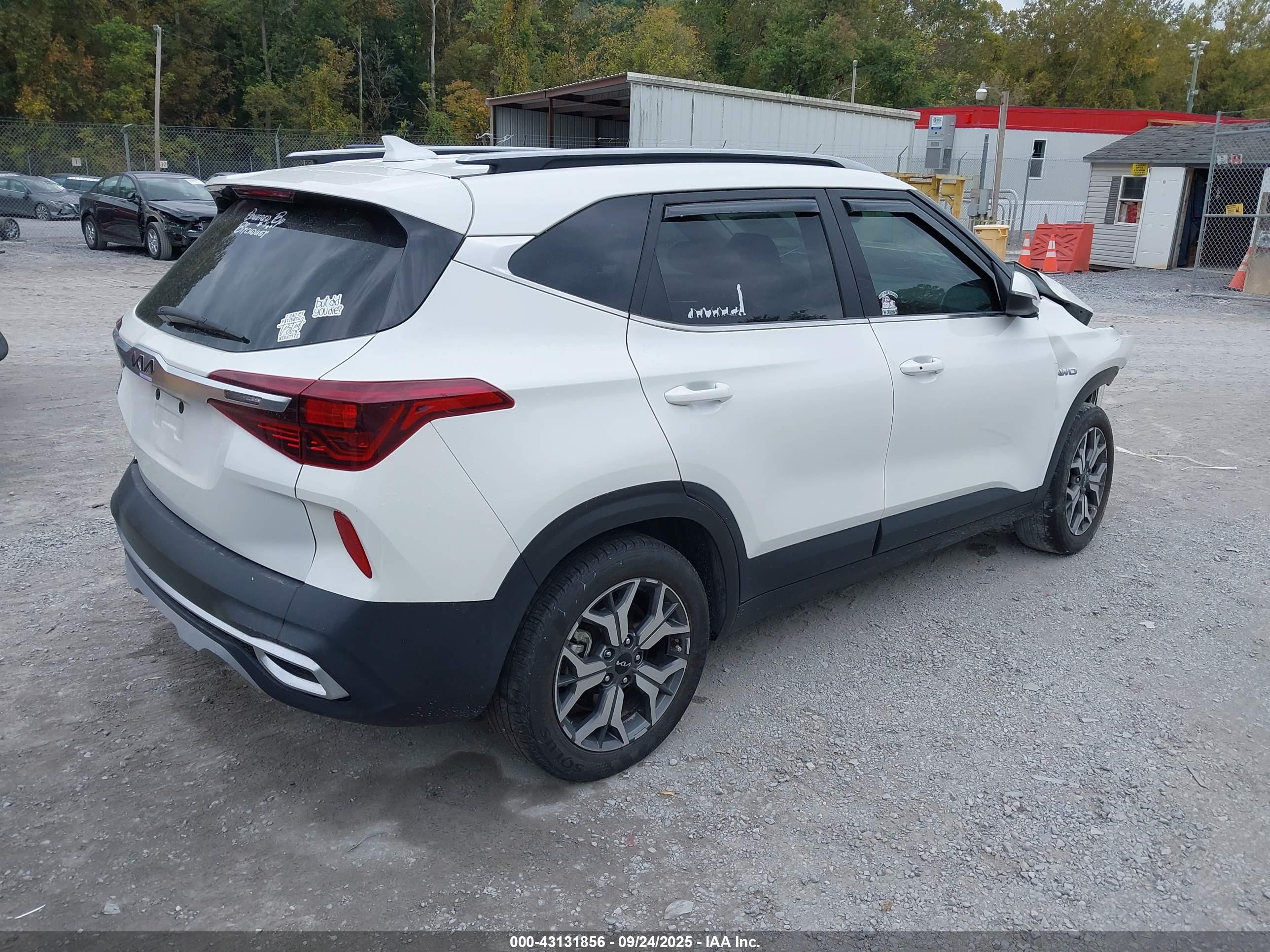 KIA SELTOS image 4