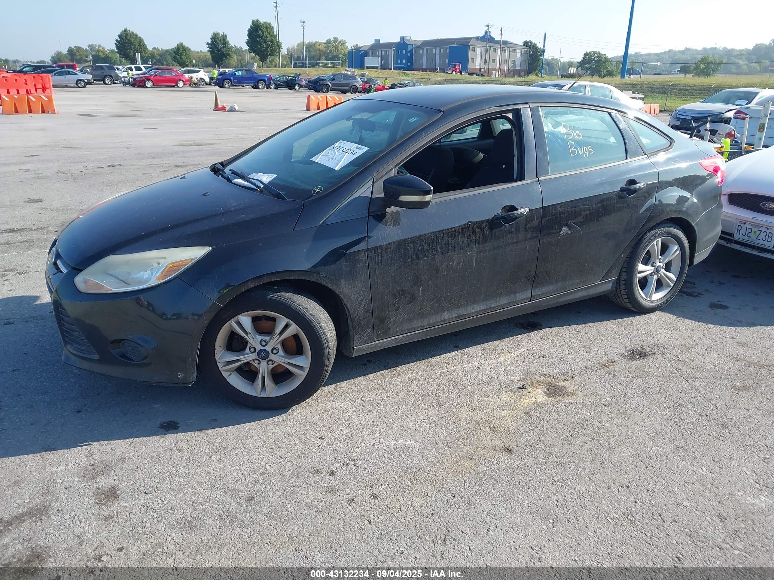FORD FOCUS image 2