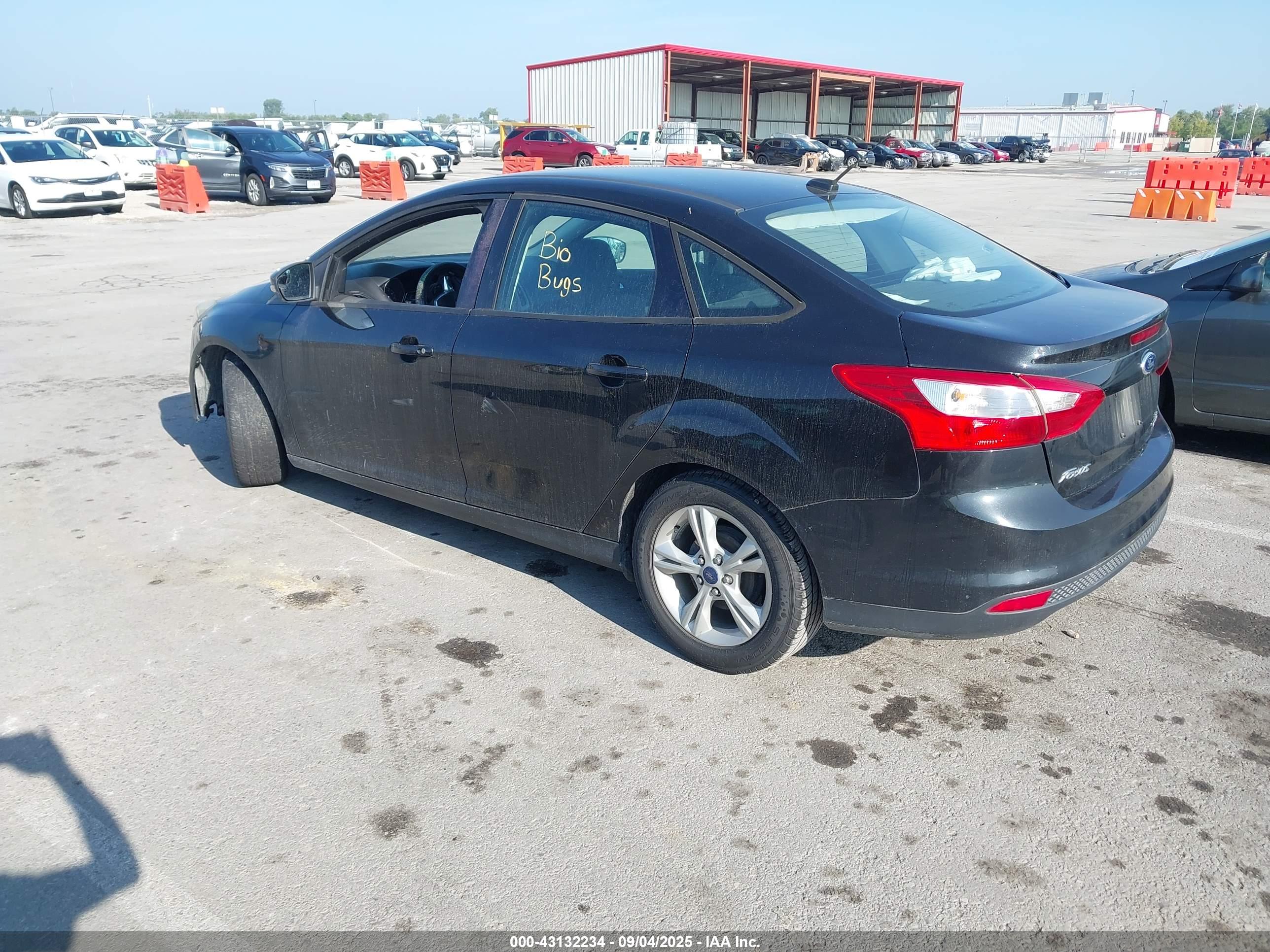 FORD FOCUS image 3
