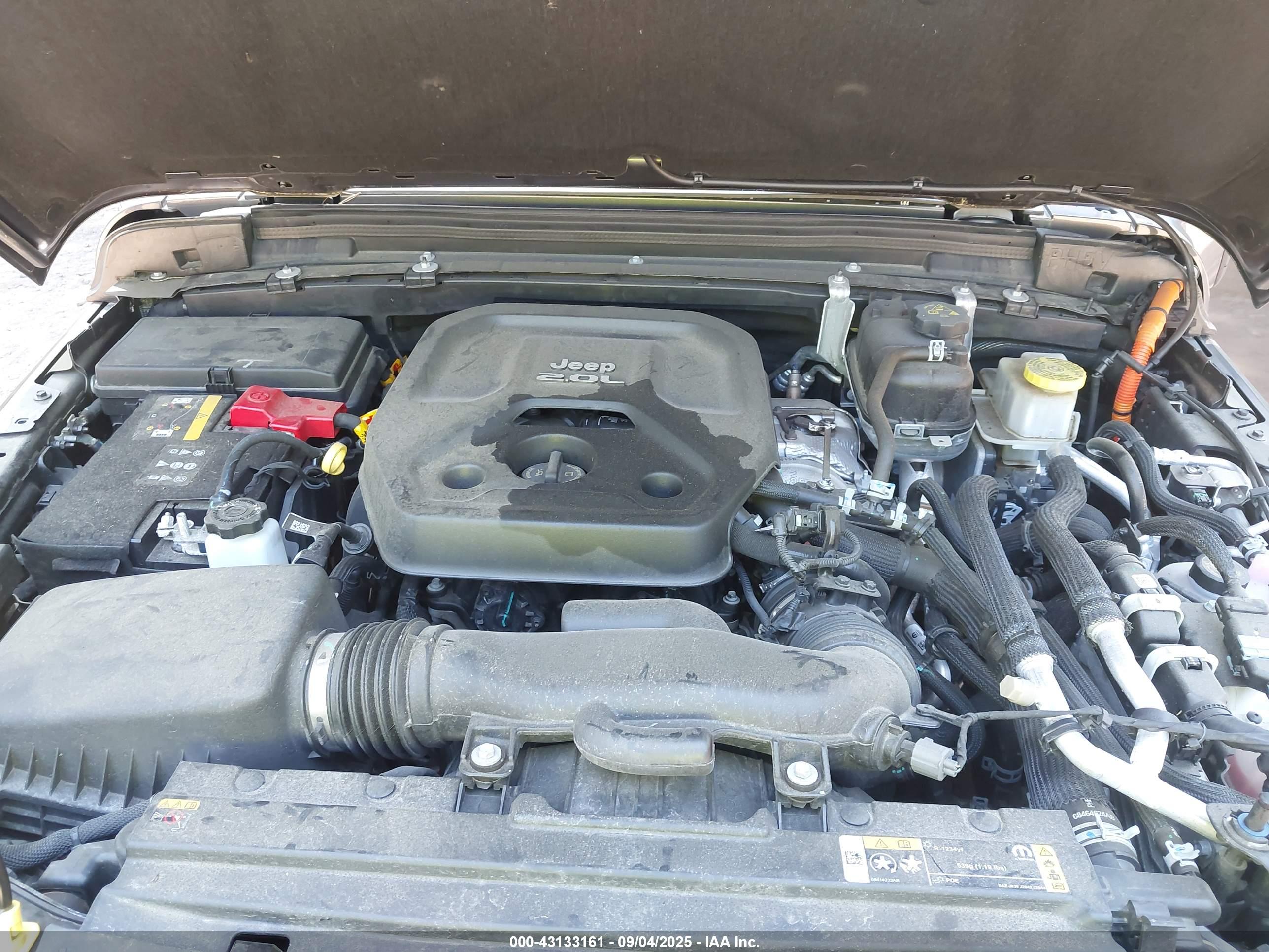 JEEP WRANGLER image 10