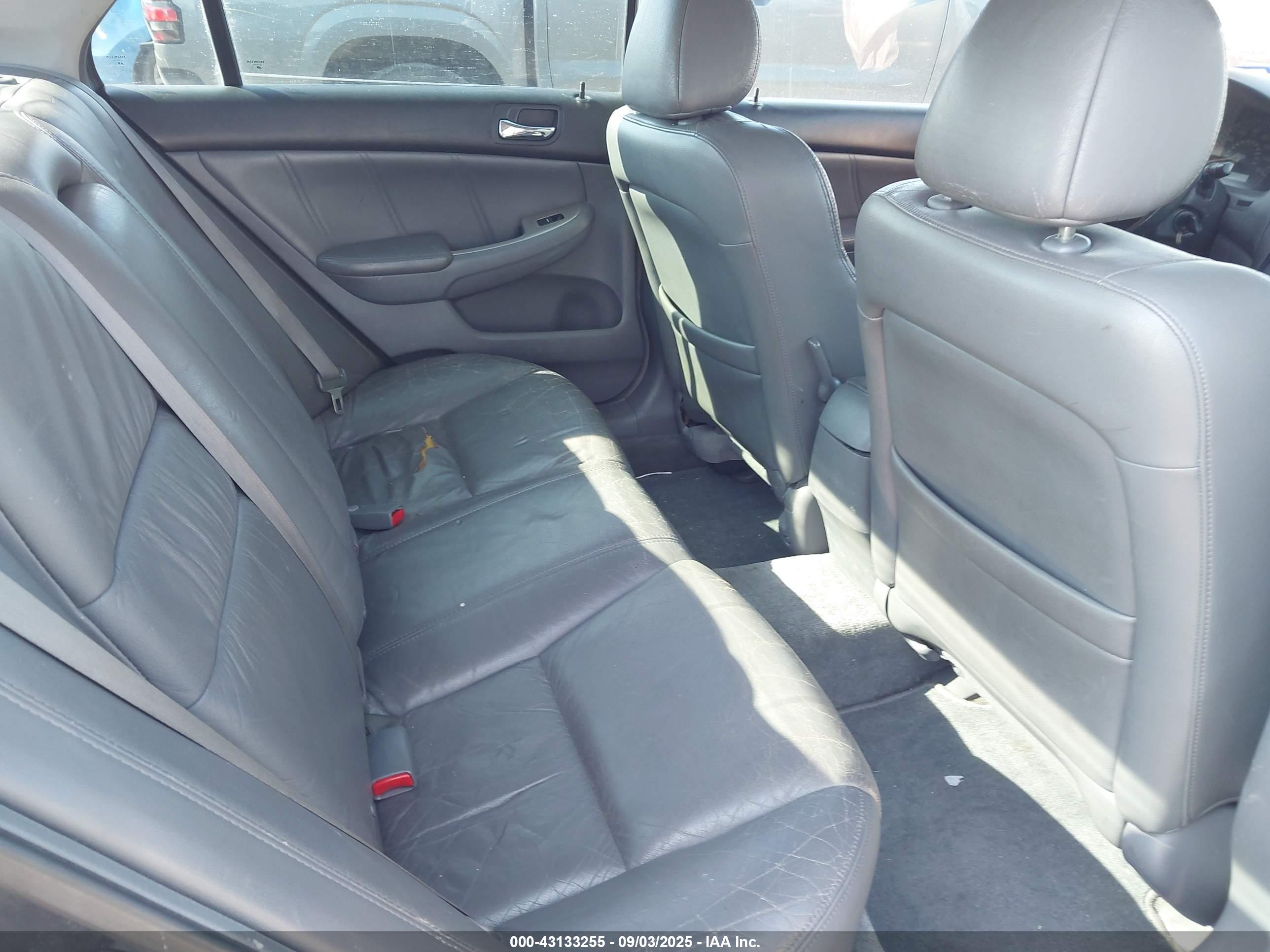 HONDA ACCORD image 8