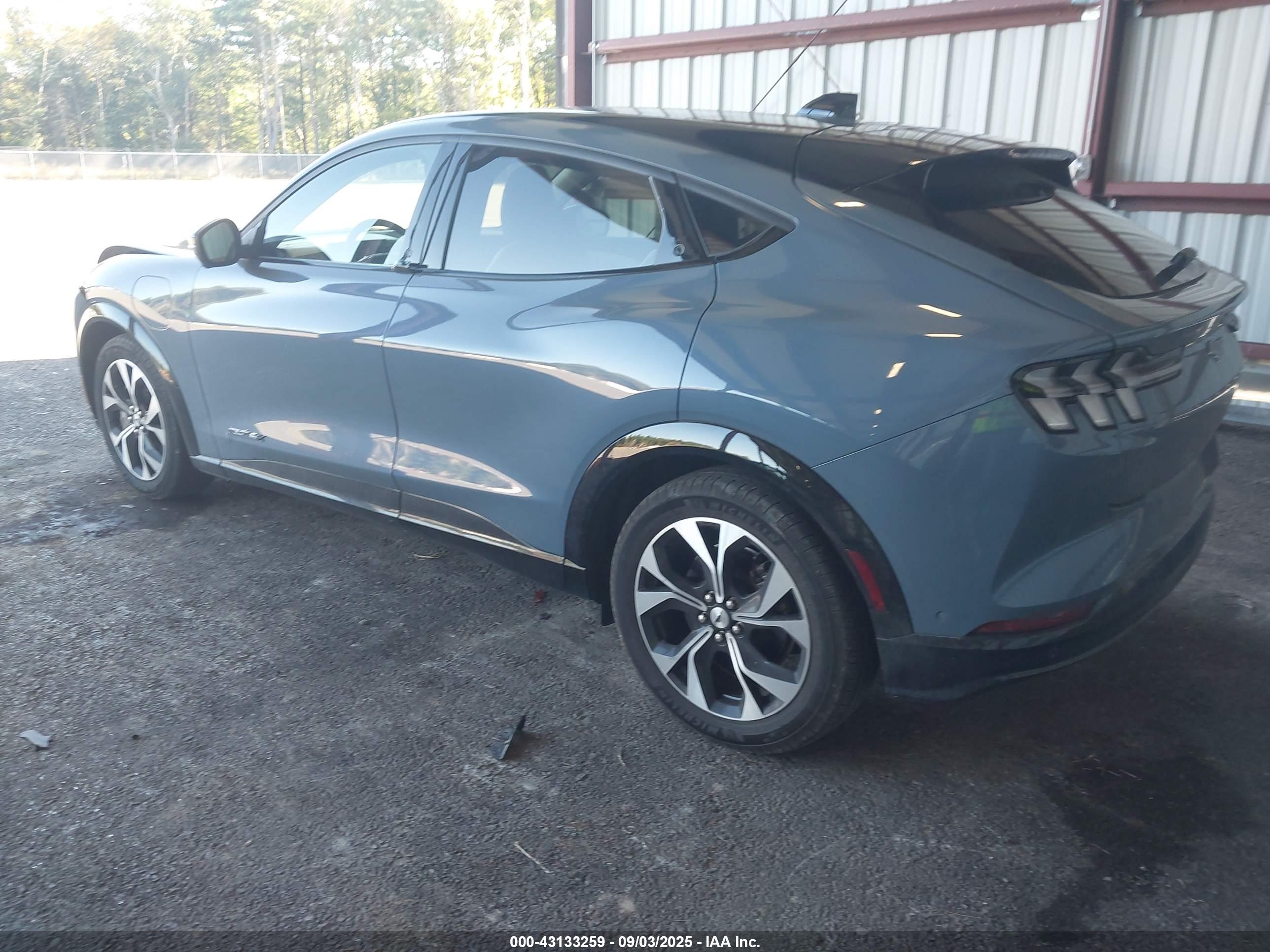 FORD MUSTANG image 3