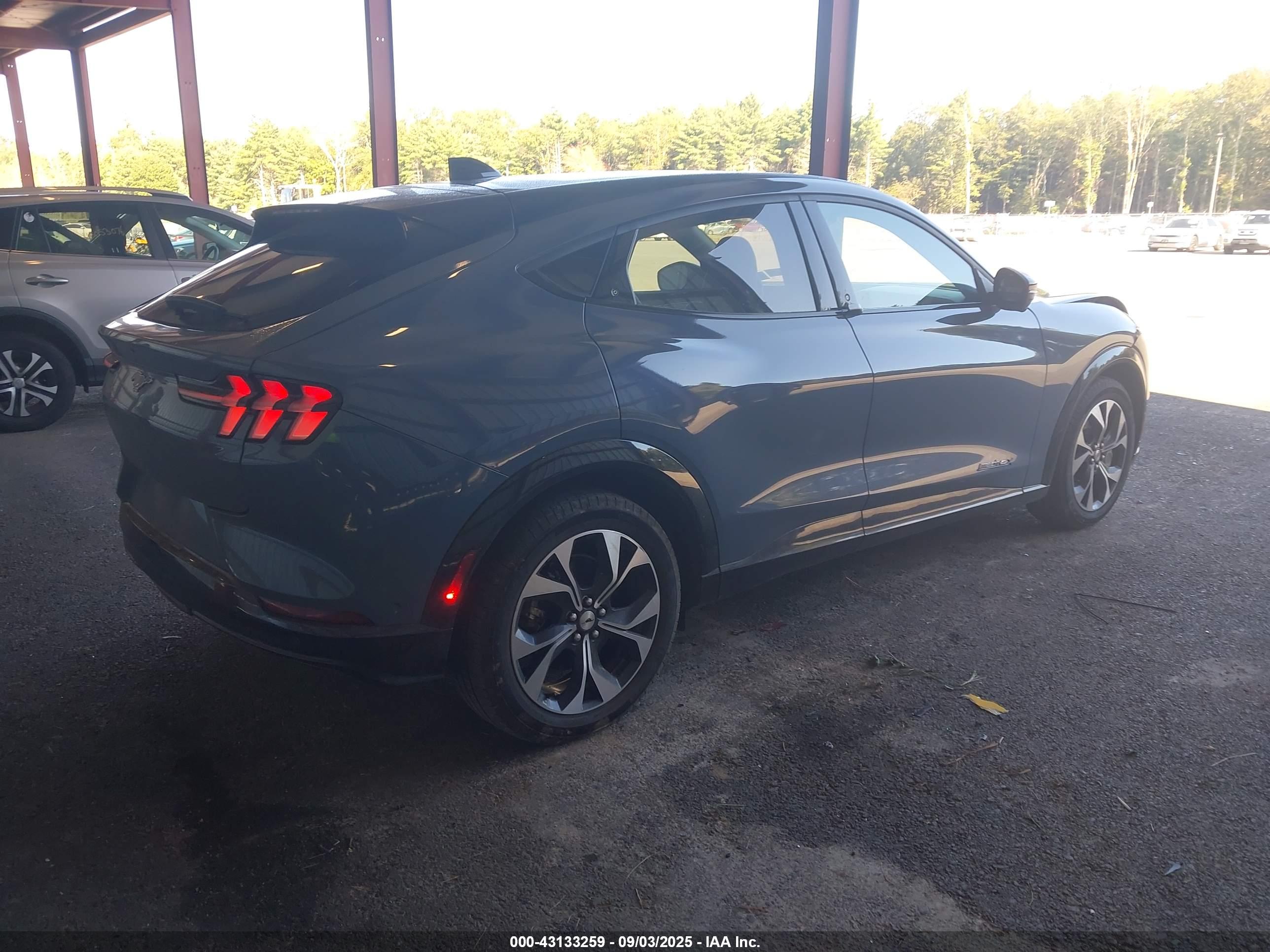 FORD MUSTANG image 4