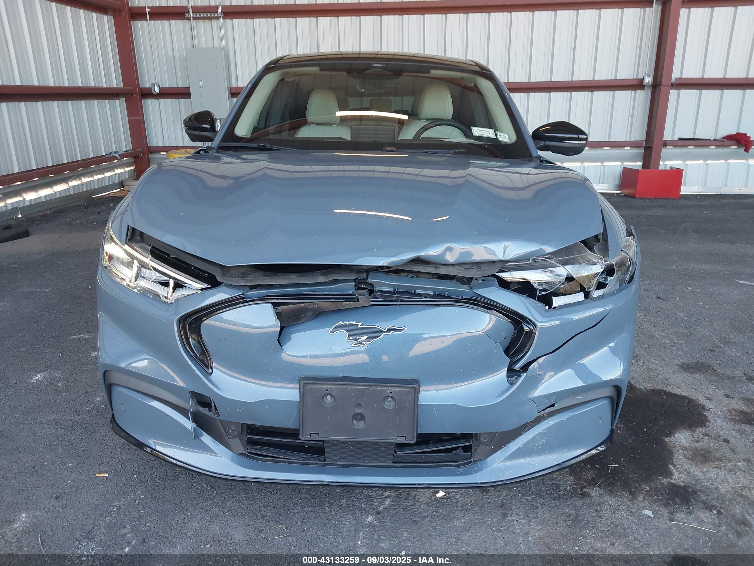 FORD MUSTANG image 6
