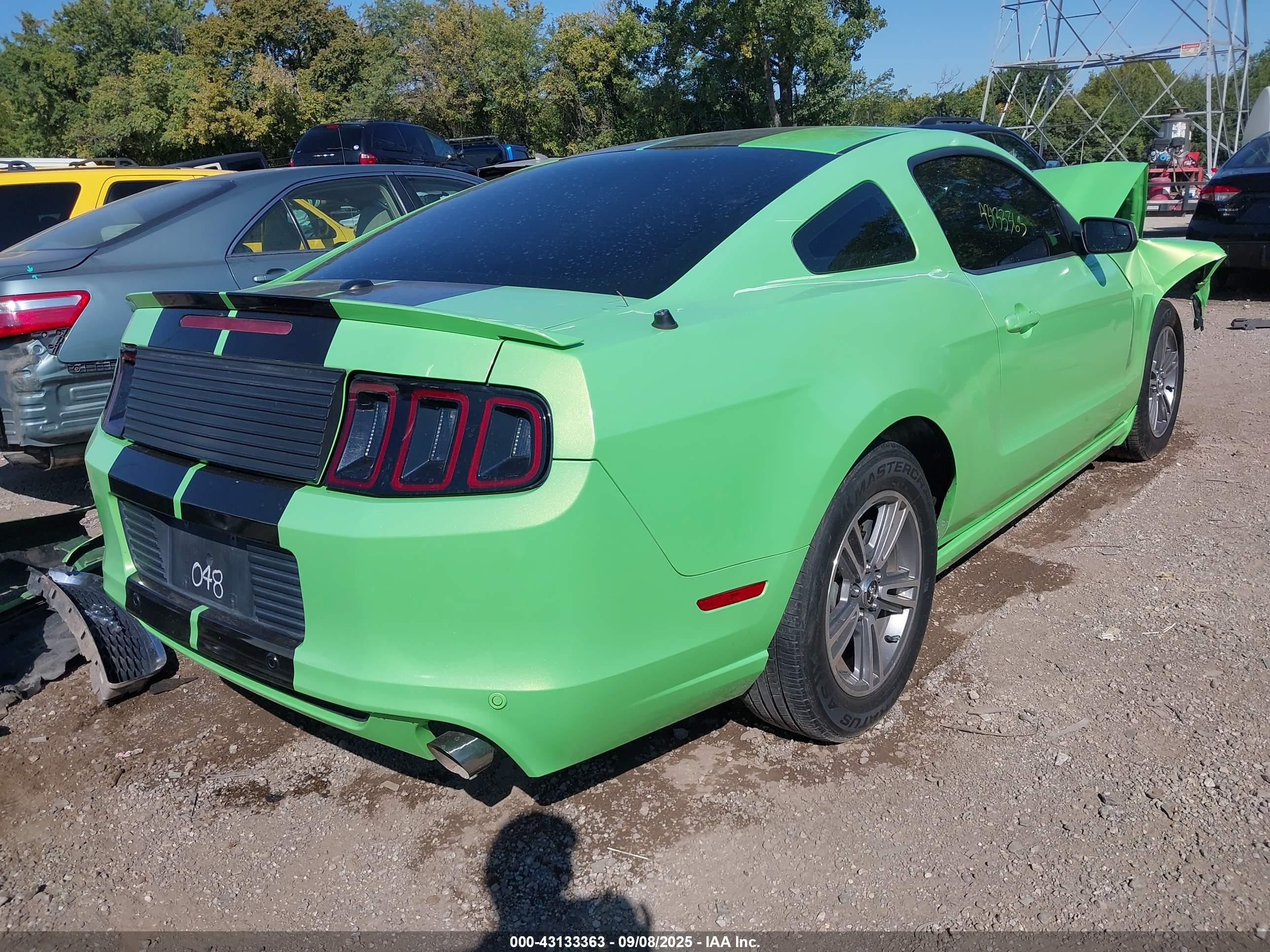 FORD MUSTANG image 4
