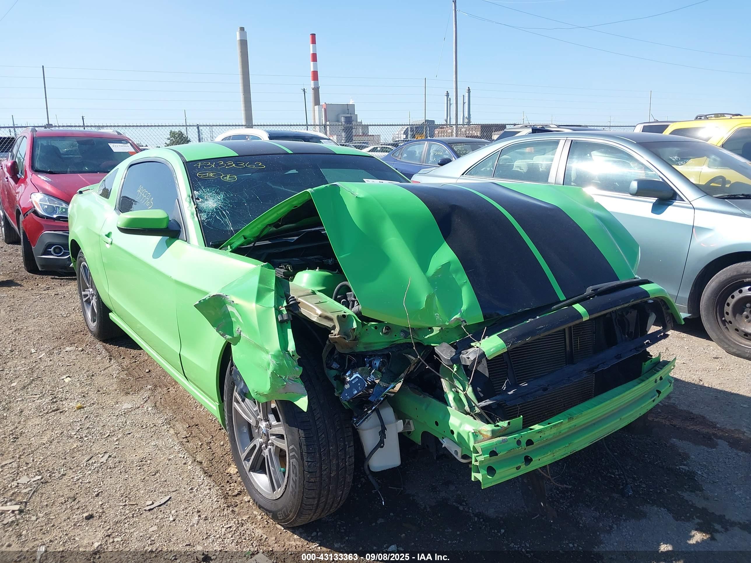 FORD MUSTANG image 6